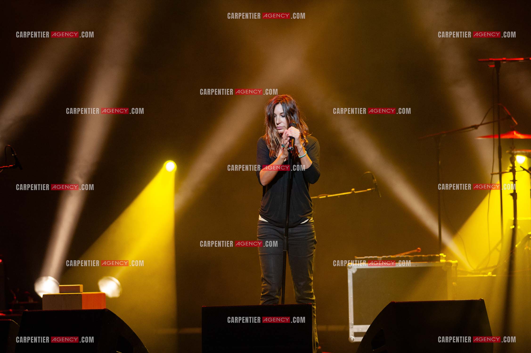 La chanteuse Zazie en concert au Zénith de Paris “ CONCERT POUR LA PLANETE “le 03 Sept 2008.   ( Exclusif )