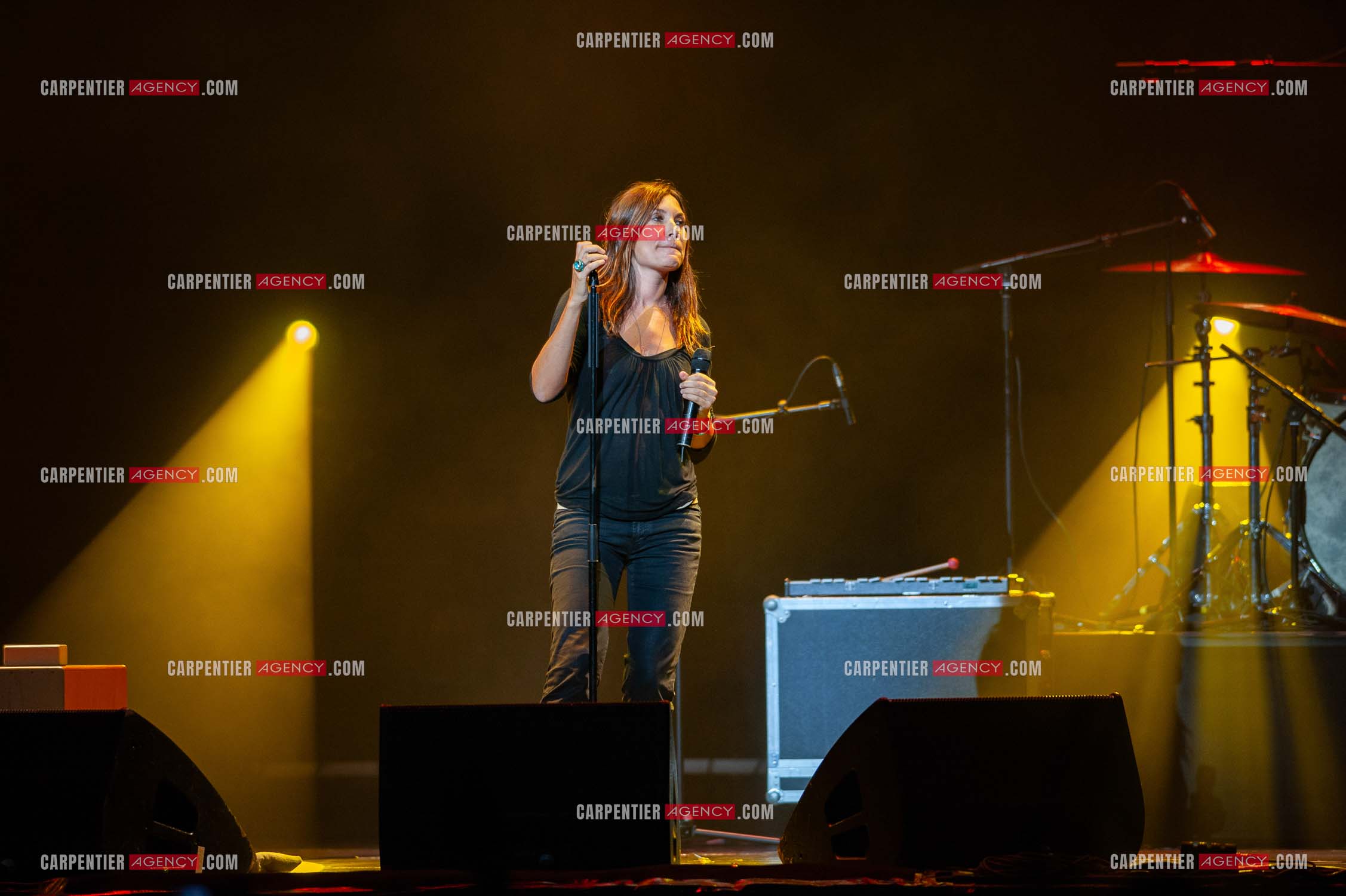 La chanteuse Zazie en concert au Zénith de Paris “ CONCERT POUR LA PLANETE “le 03 Sept 2008.   ( Exclusif )