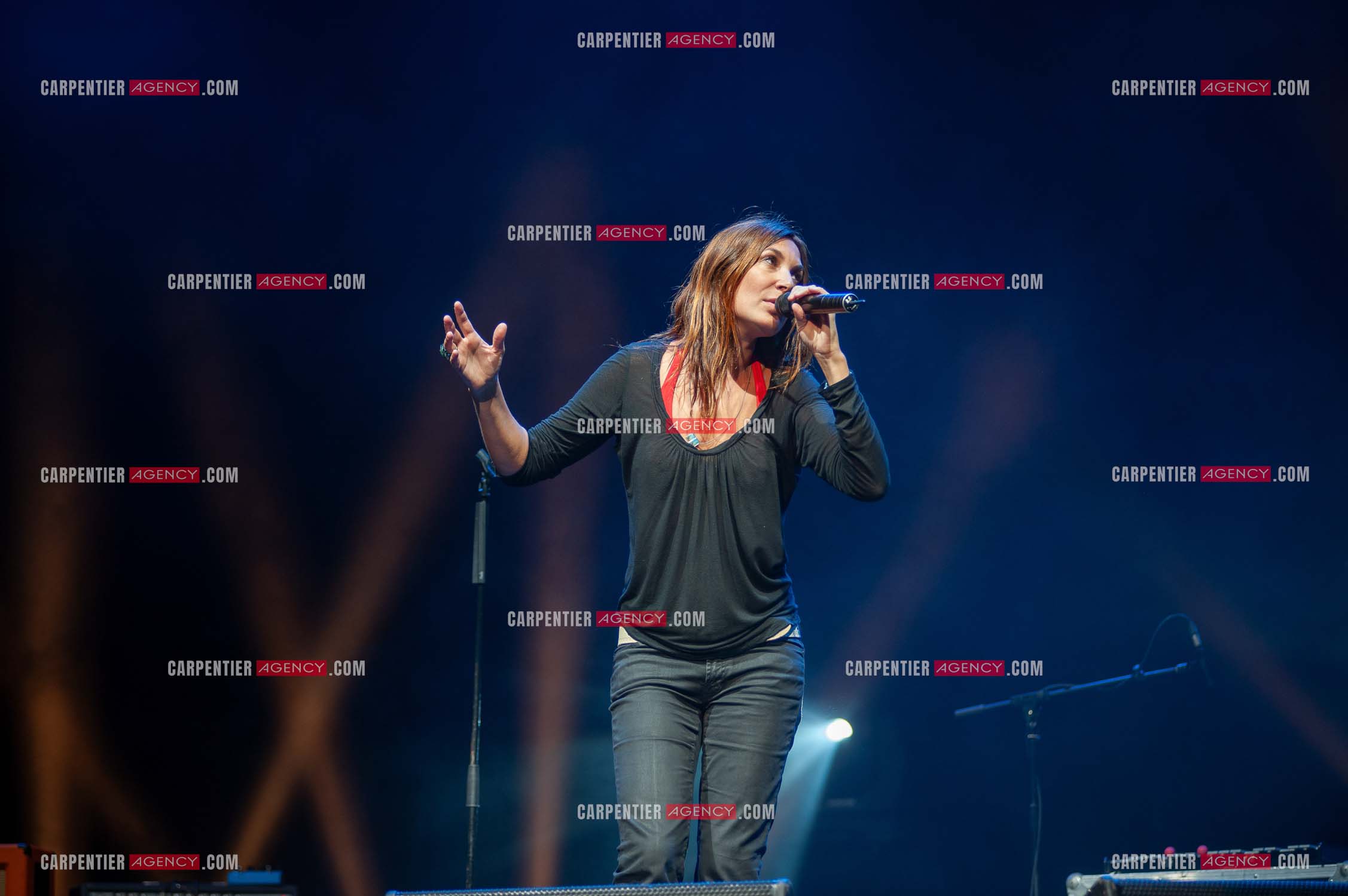 La chanteuse Zazie en concert au Zénith de Paris “ CONCERT POUR LA PLANETE “le 03 Sept 2008.   ( Exclusif )