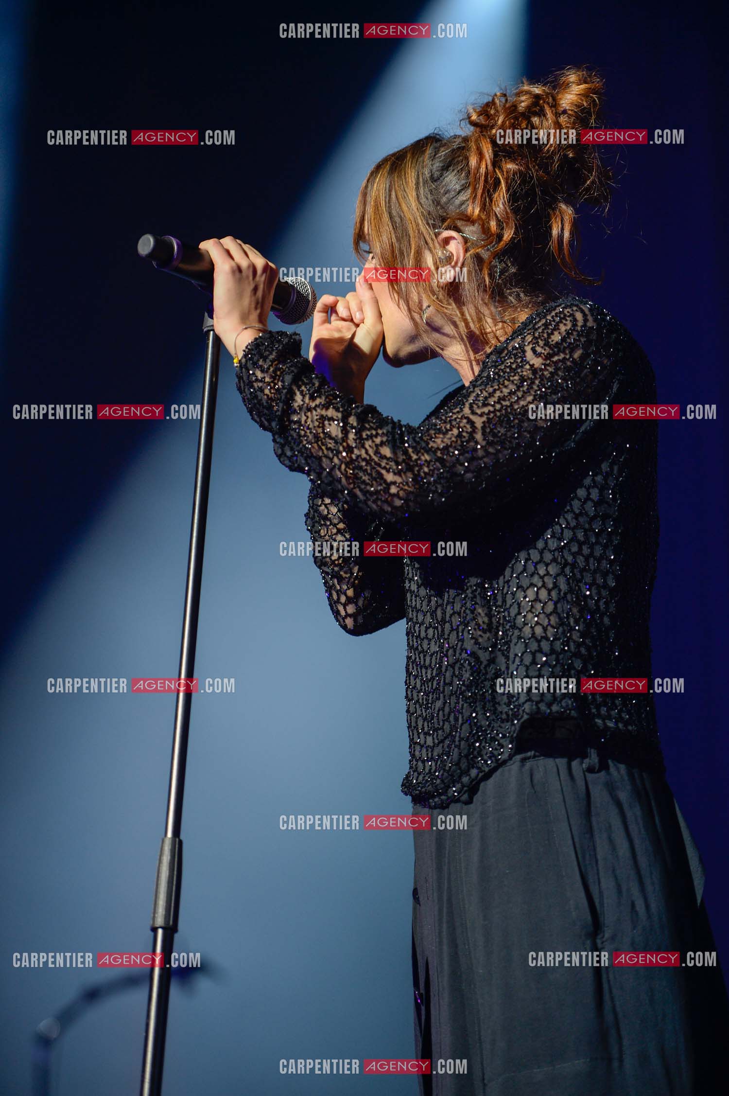 La chanteuse Zaz en concert au Zénith de Paris.    ( Exclusif )