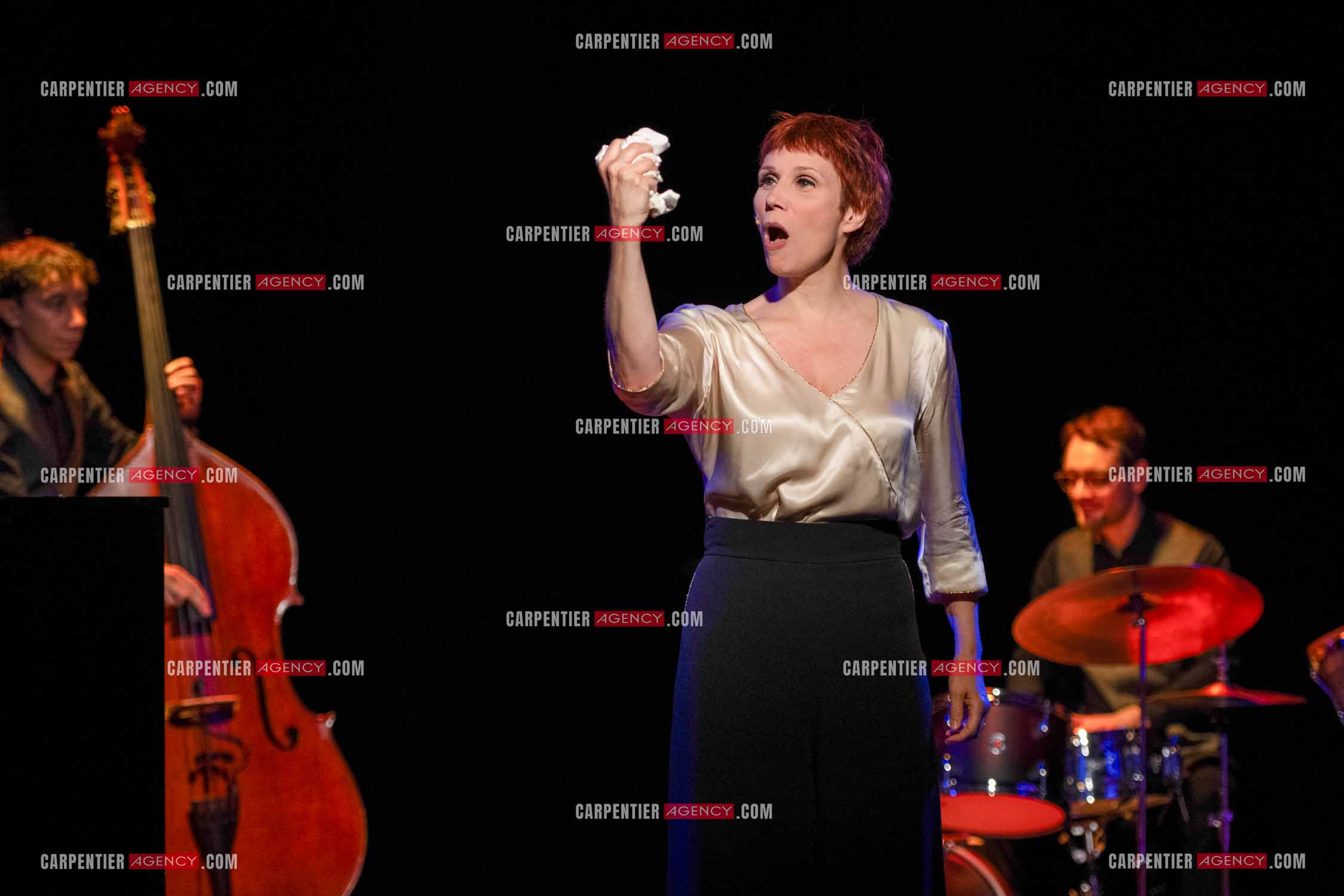 Spectacle musical racontant la vie de Monsieur Cole Porter. La chanteuse Isabelle Georges dans le rôle d'une Linda accompagnée d'un trio jazzy ( piano, contrebasse et batterie ).  ( Exclusif )