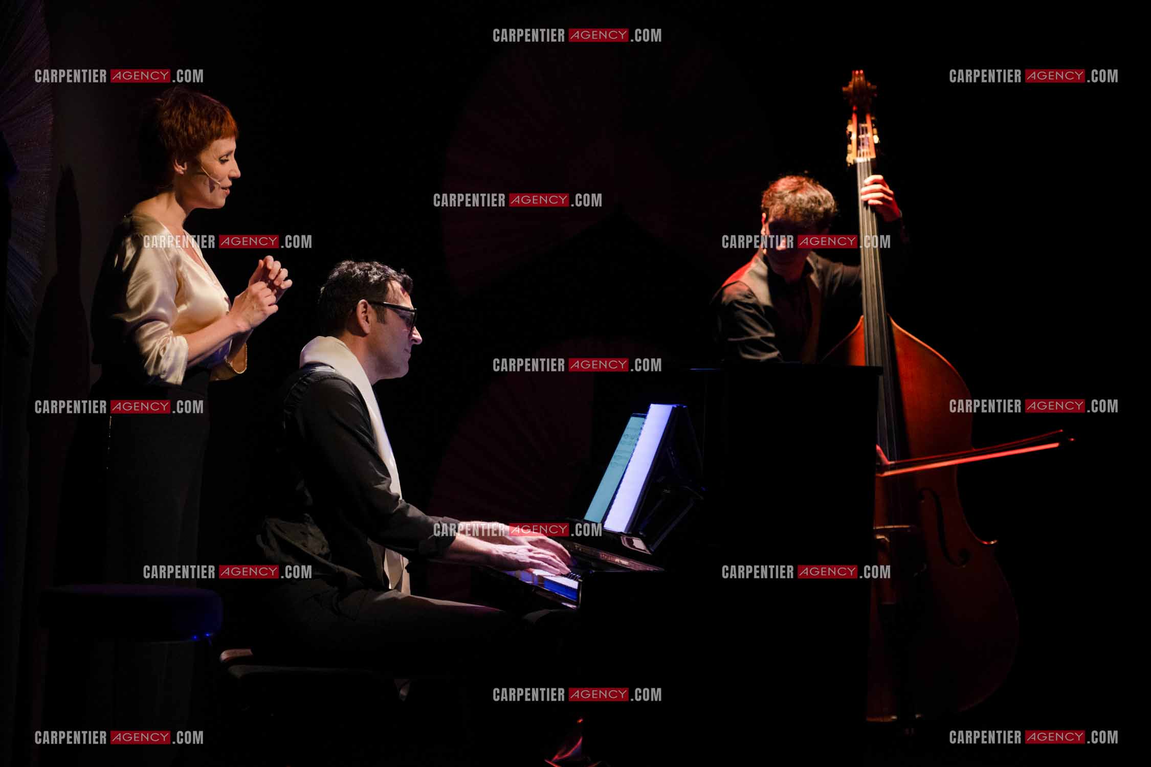 Spectacle musical racontant la vie de Monsieur Cole Porter. La chanteuse Isabelle Georges dans le rôle d'une Linda accompagnée d'un trio jazzy ( piano, contrebasse et batterie ).  ( Exclusif )