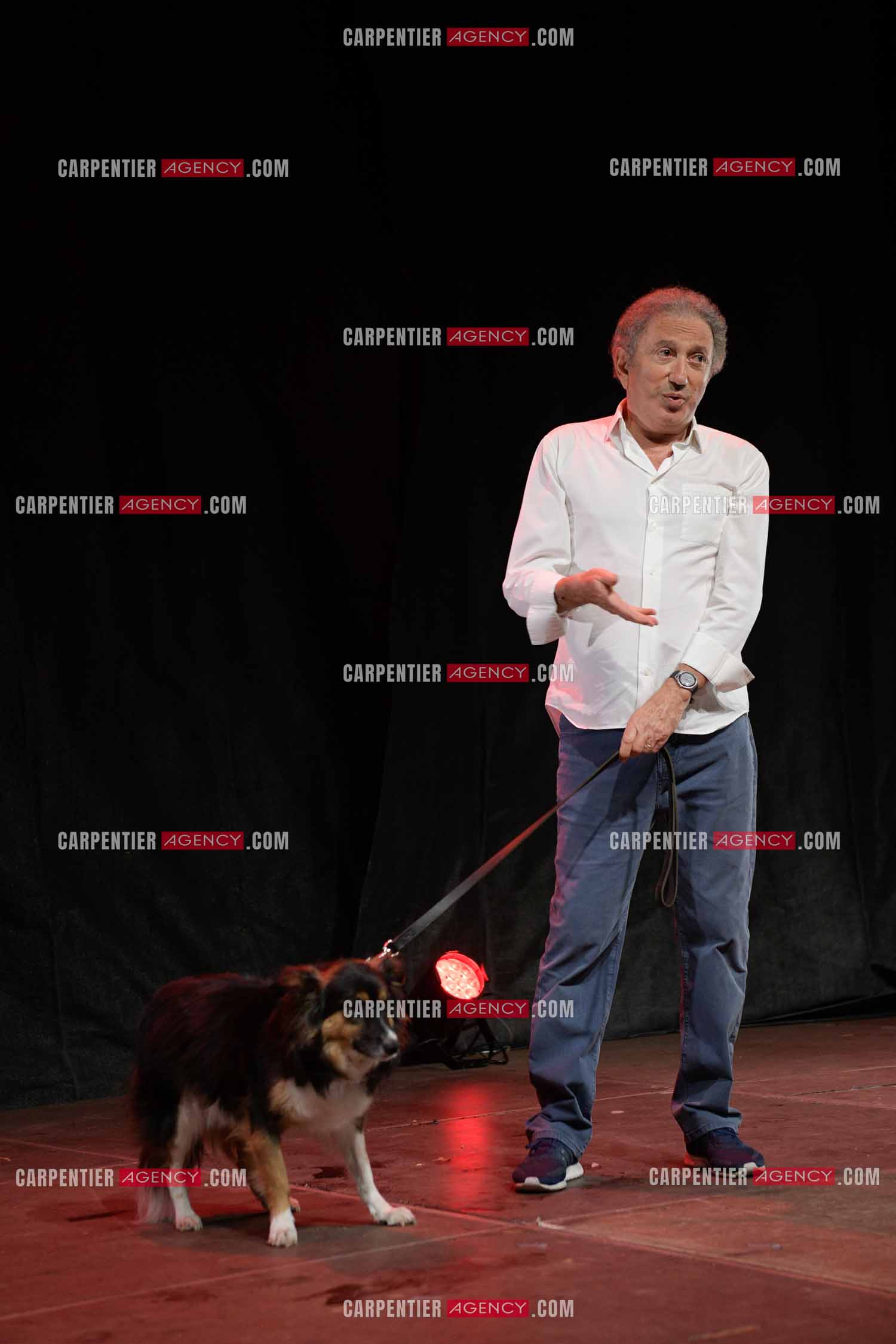 Michel Drucker fait son One Man Show avec sa chienne Izia au parc Jourdan d'Aix en Provence. ( Exclusif )