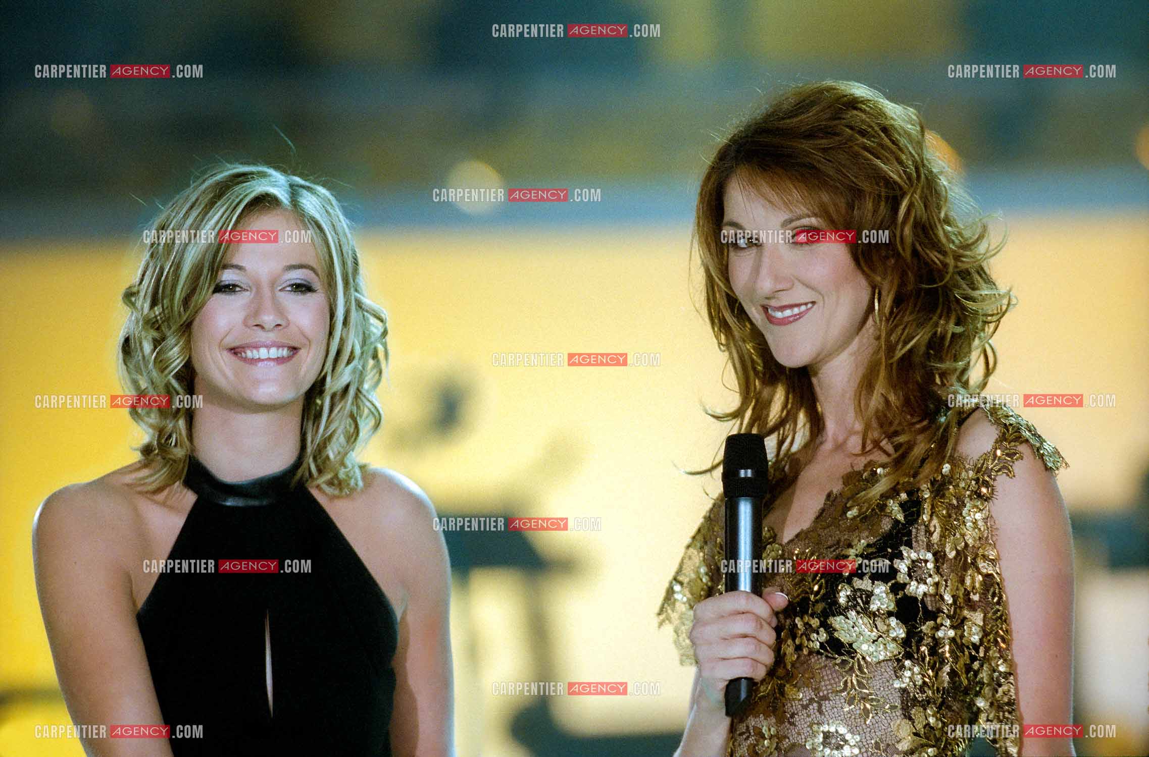 Enregistrement de l'émission spéciale Céline Dion sur TF1 présentée par Flavie Flament.        ( Exclusif )