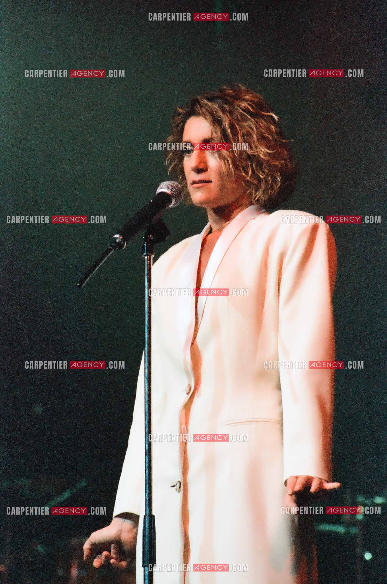 La chanteuse Sheila en concert au Zénith de Paris en 1985.    ( Exclusif )