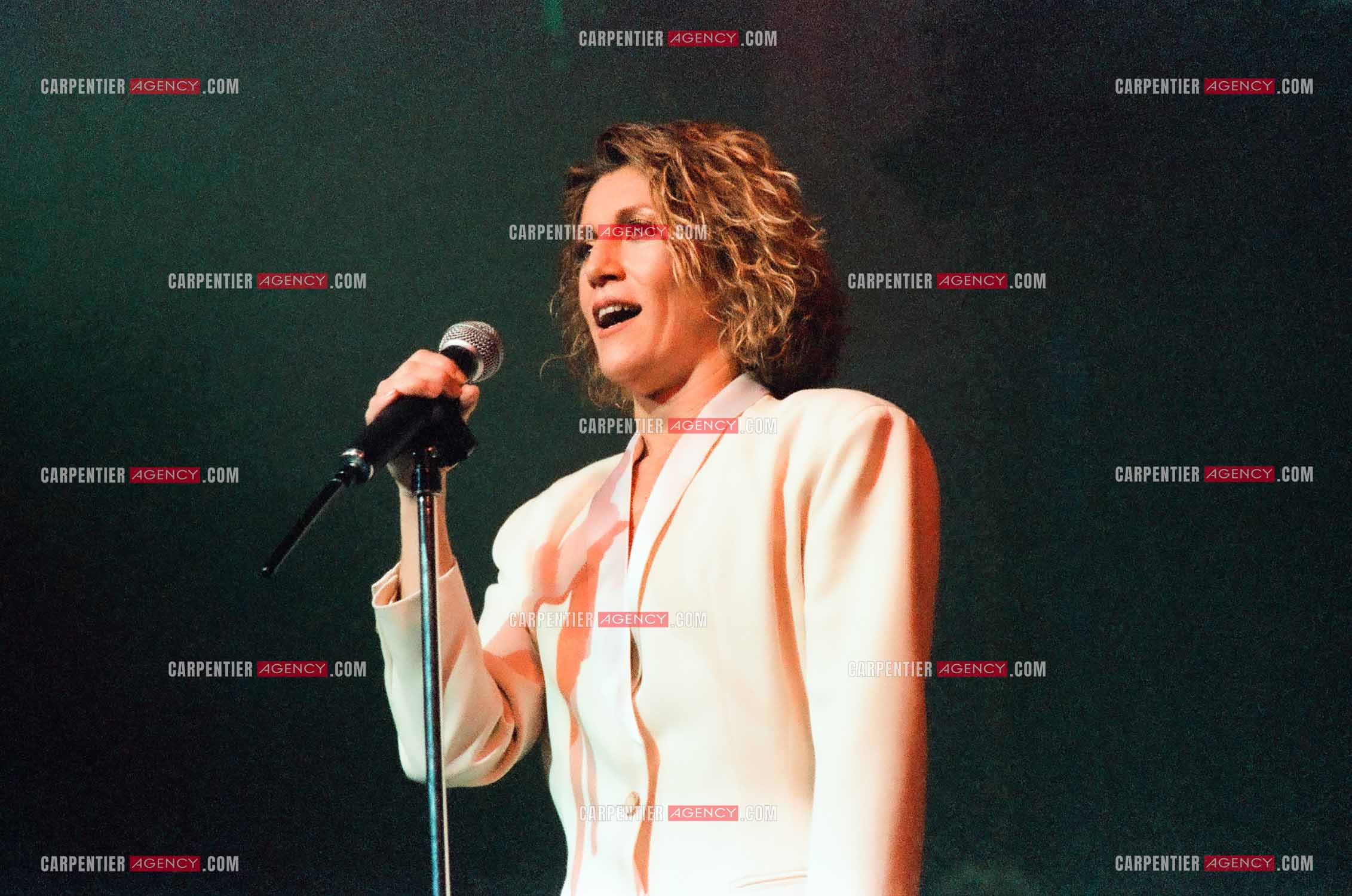 La chanteuse Sheila en concert au Zénith de Paris en 1985.    ( Exclusif )