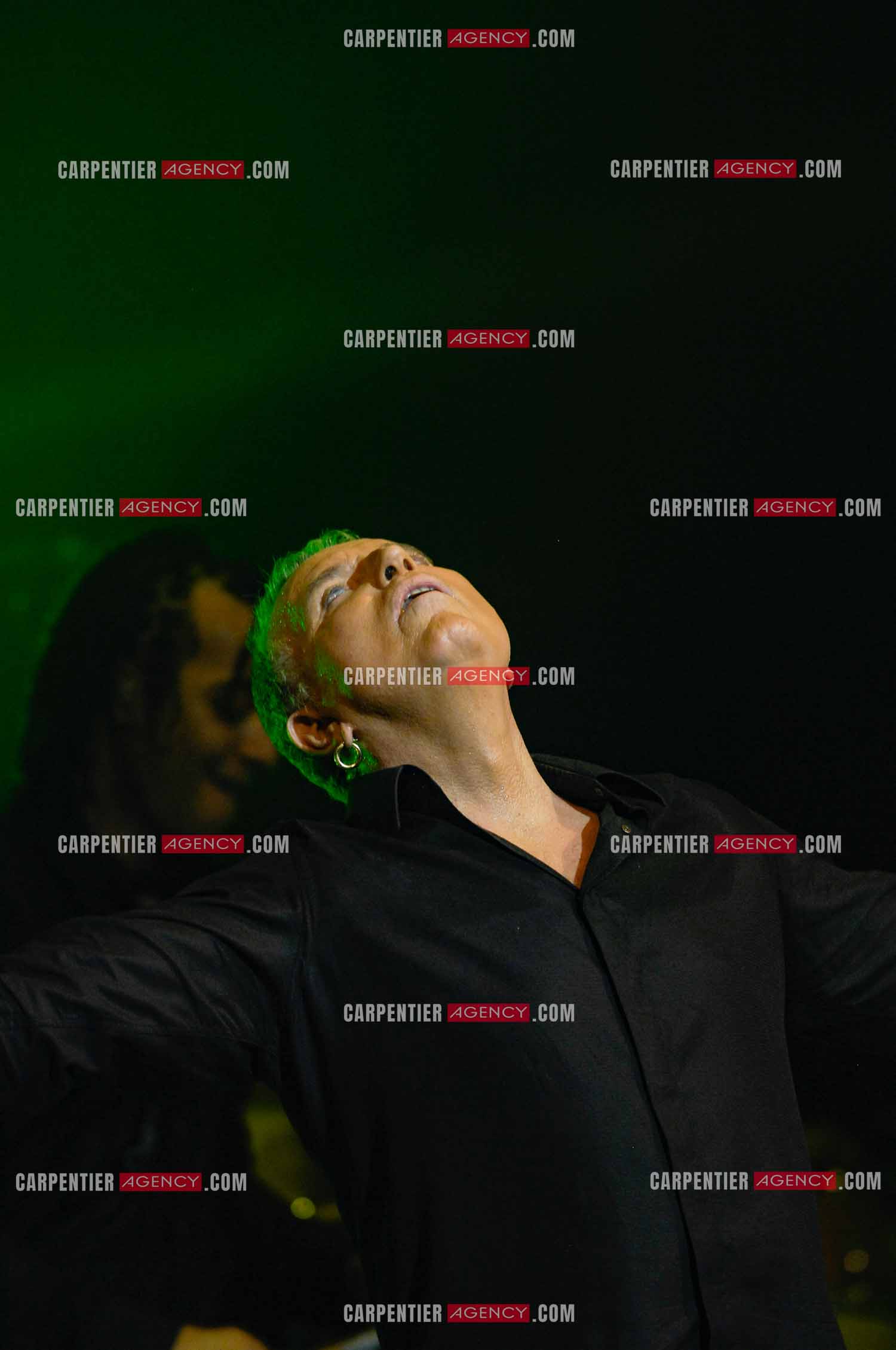 Le chanteur Bernard Lavilliers en concert au Zénith de Paris en 2008.   ( Exclusif )