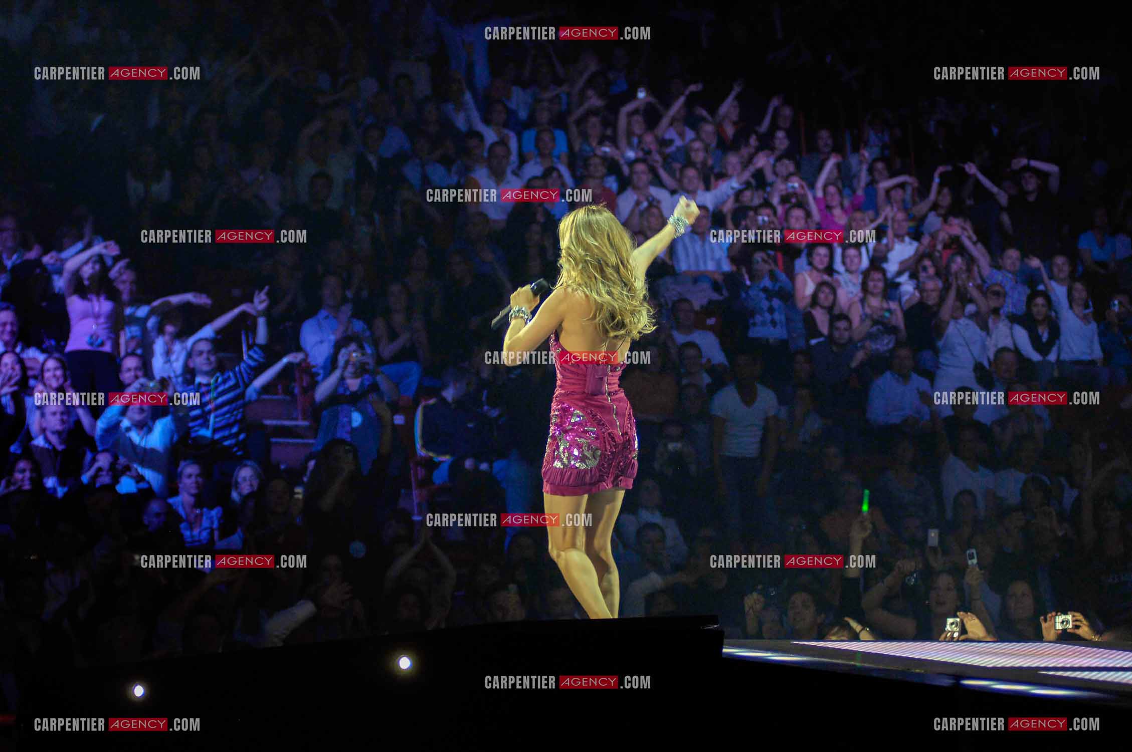 La chanteuse Céline Dion en concert au POPB de Paris Bercy en 2008.