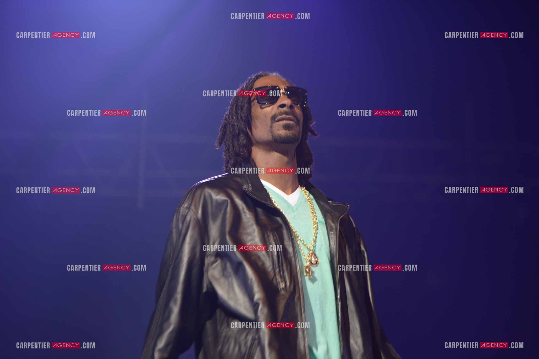 Le rappeur Snoop Dogg en concert au Zénith de Paris en 2013.    ( Exclusif )