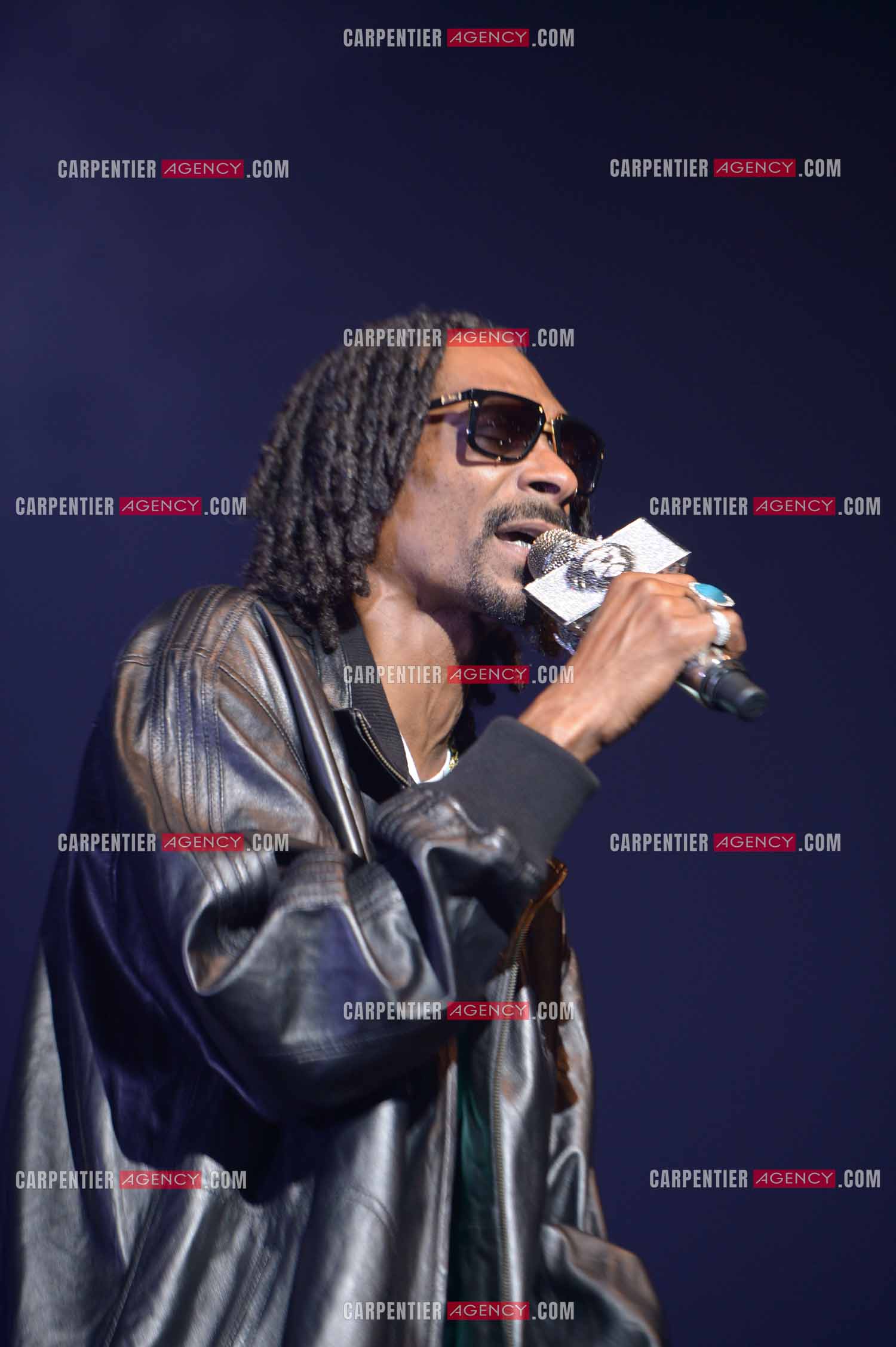 Le rappeur Snoop Dogg en concert au Zénith de Paris en 2013.    ( Exclusif )