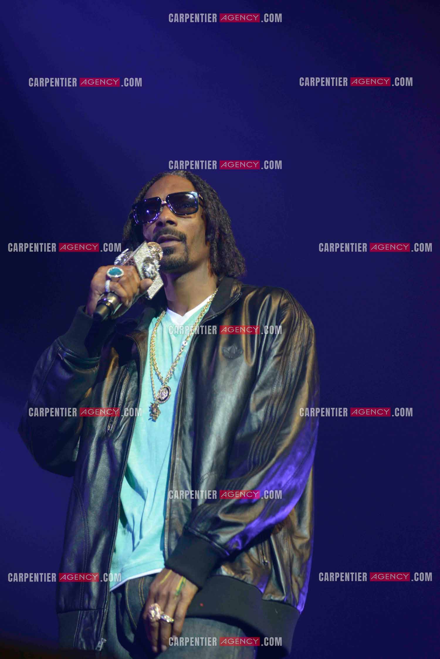 Le rappeur Snoop Dogg en concert au Zénith de Paris en 2013.    ( Exclusif )