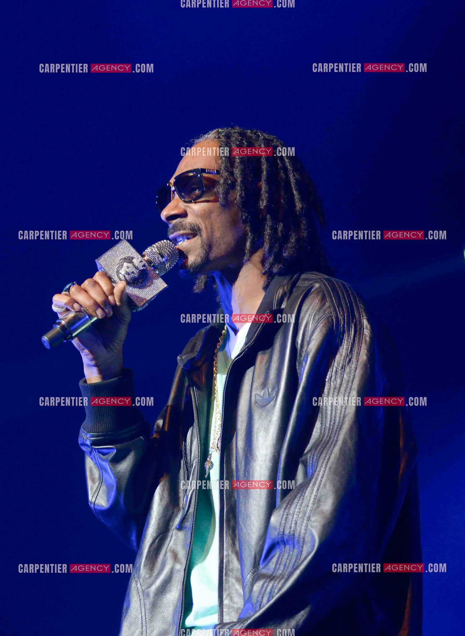 Le rappeur Snoop Dogg en concert au Zénith de Paris en 2013.    ( Exclusif )