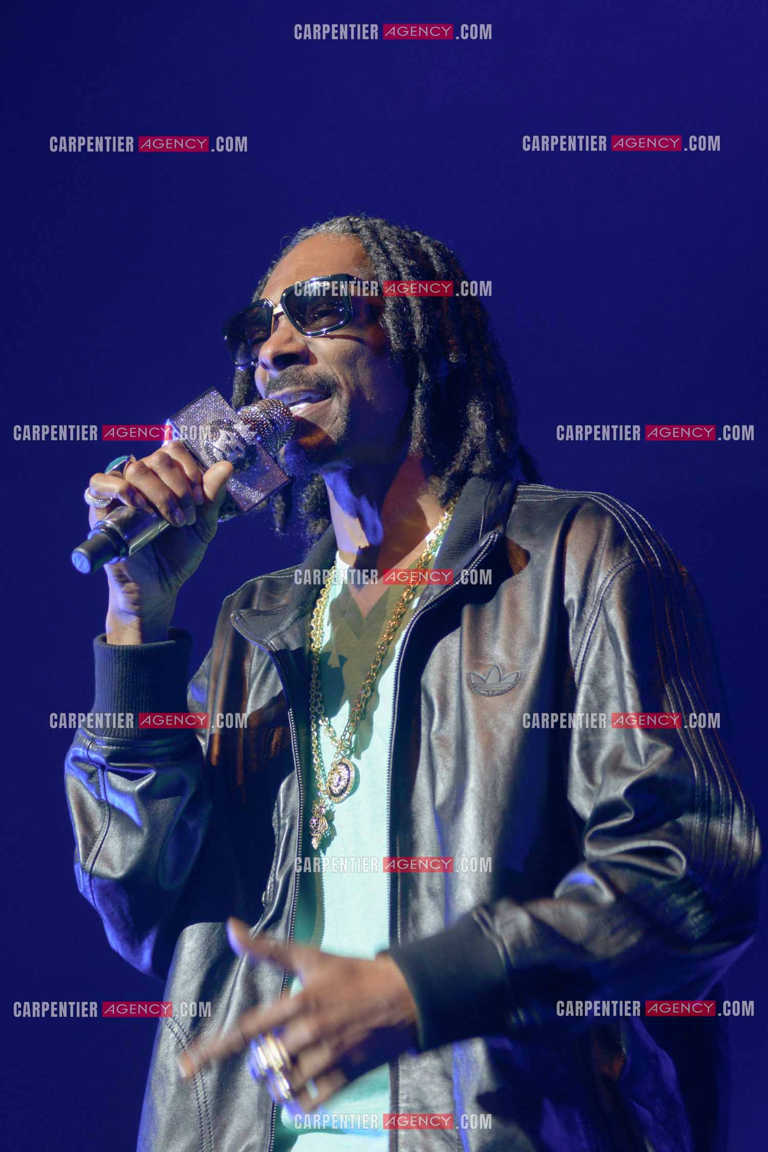 Le rappeur Snoop Dogg en concert au Zénith de Paris en 2013.    ( Exclusif )