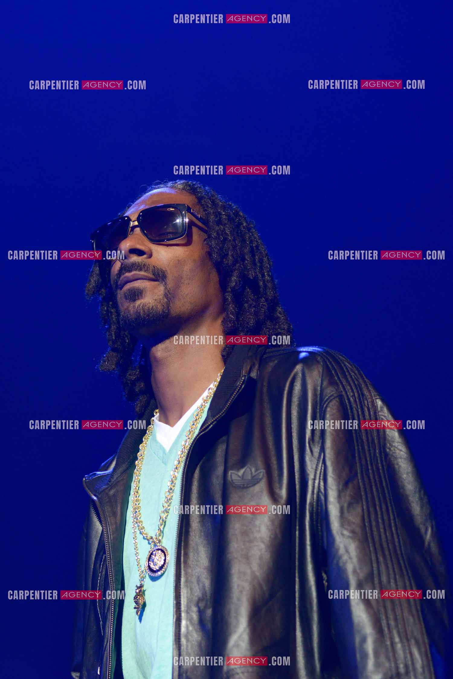 Le rappeur Snoop Dogg en concert au Zénith de Paris en 2013.    ( Exclusif )