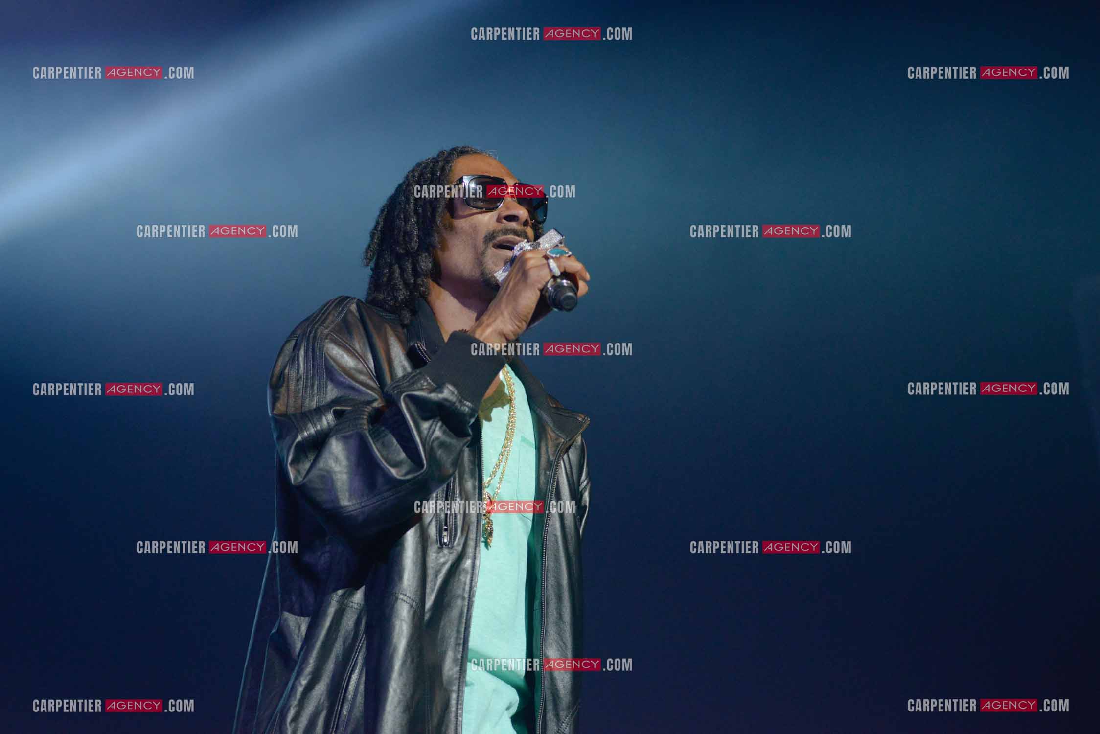 Le rappeur Snoop Dogg en concert au Zénith de Paris en 2013.    ( Exclusif )