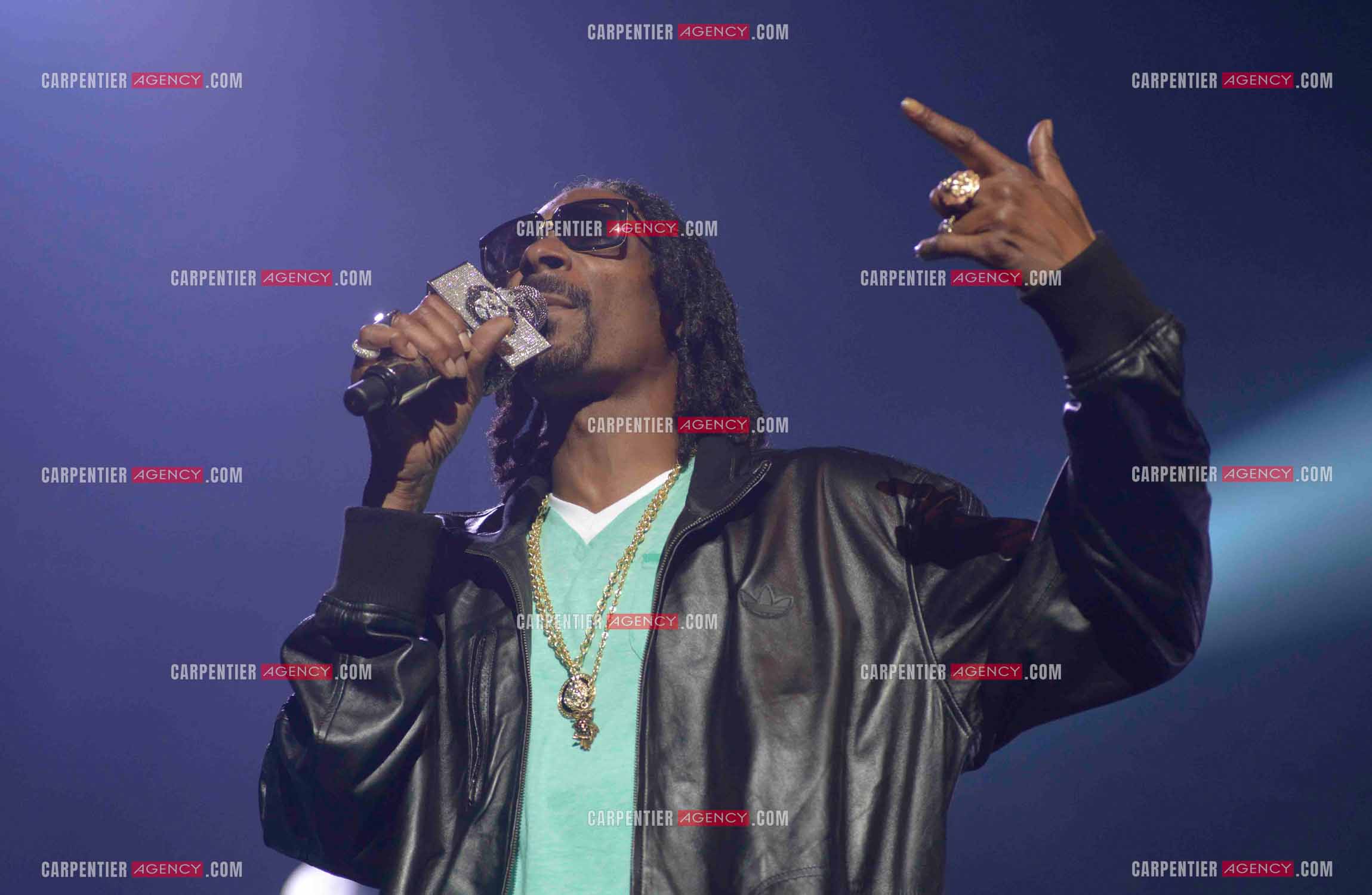 Le rappeur Snoop Dogg en concert au Zénith de Paris en 2013.    ( Exclusif )