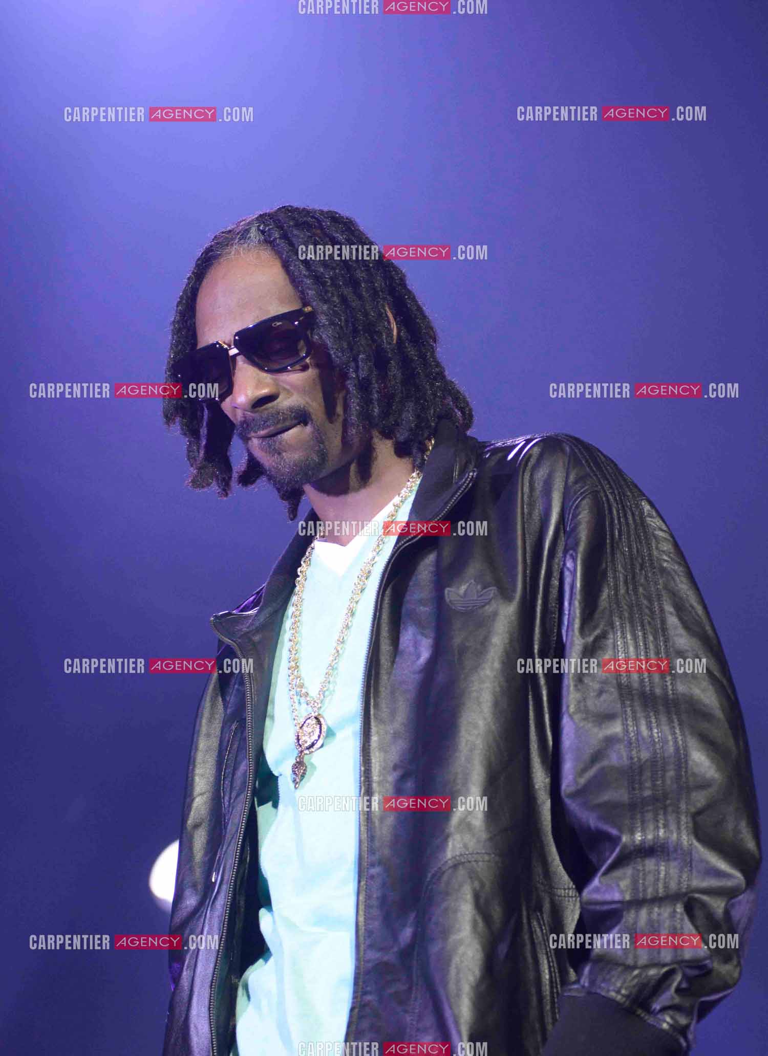 Le rappeur Snoop Dogg en concert au Zénith de Paris en 2013.    ( Exclusif )