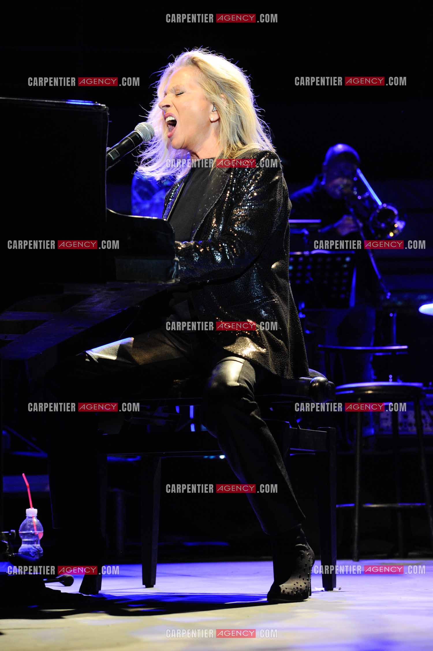 La chanteuse Véronique Sanson en concert a Alès.