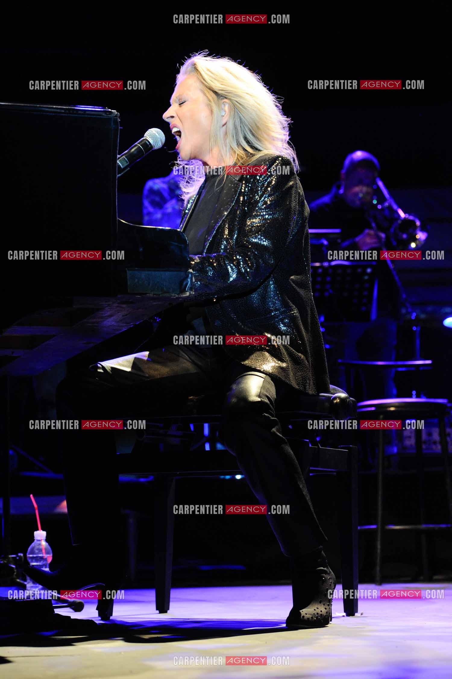 La chanteuse Véronique Sanson en concert a Alès.