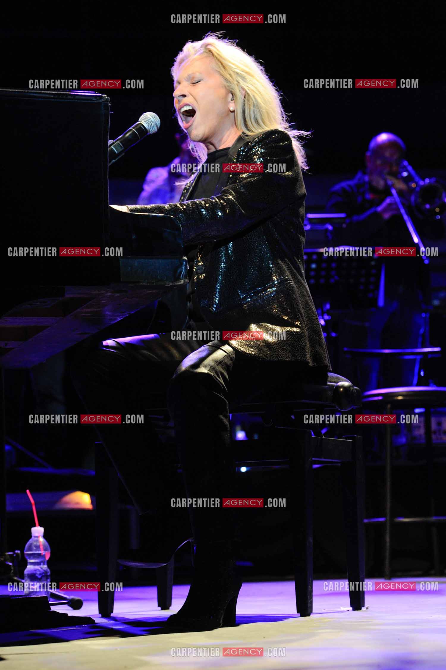 La chanteuse Véronique Sanson en concert a Alès.