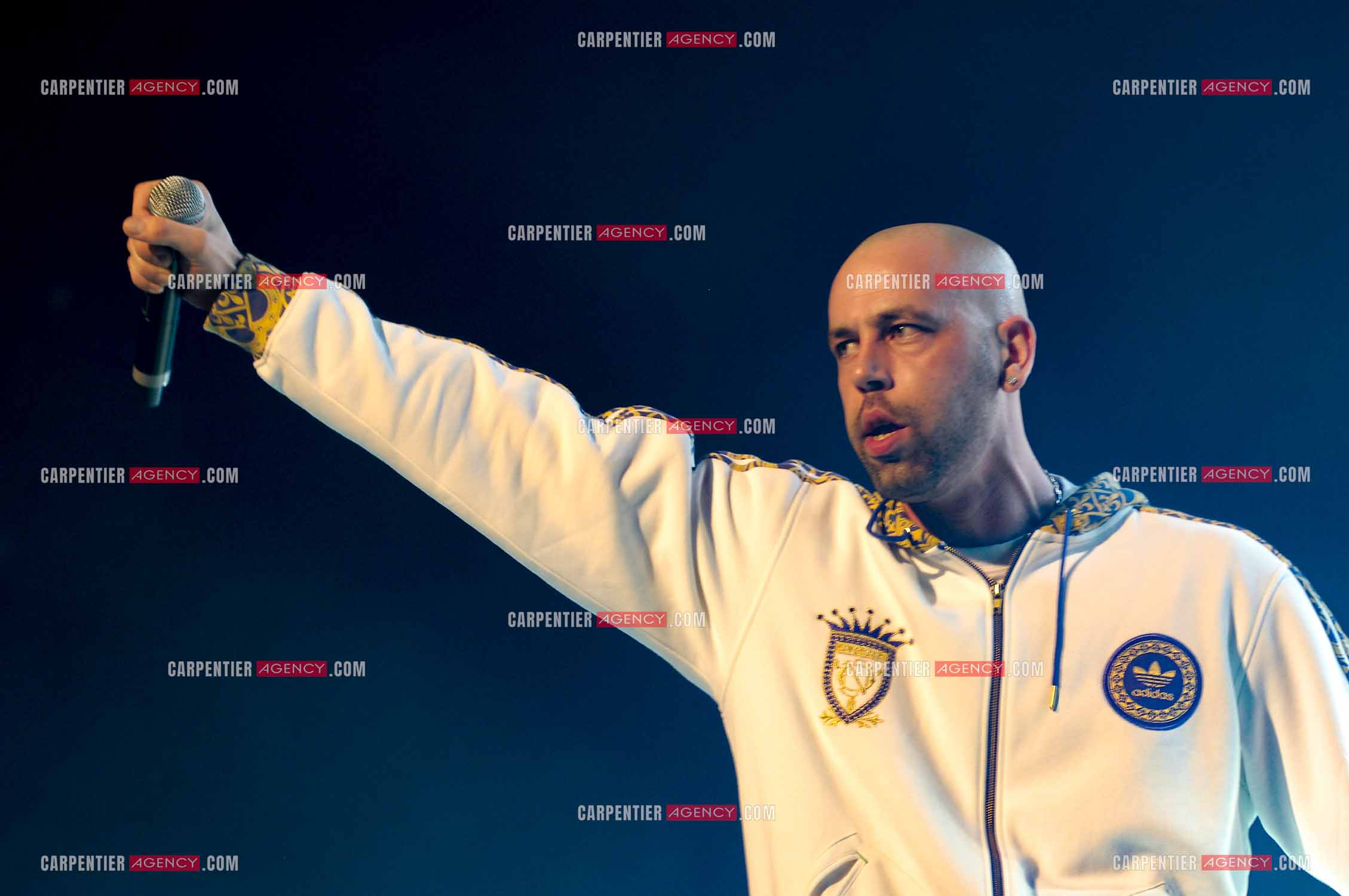 Le rappeur Sinik en concert au Zénith de Paris.     ( Exclusif )