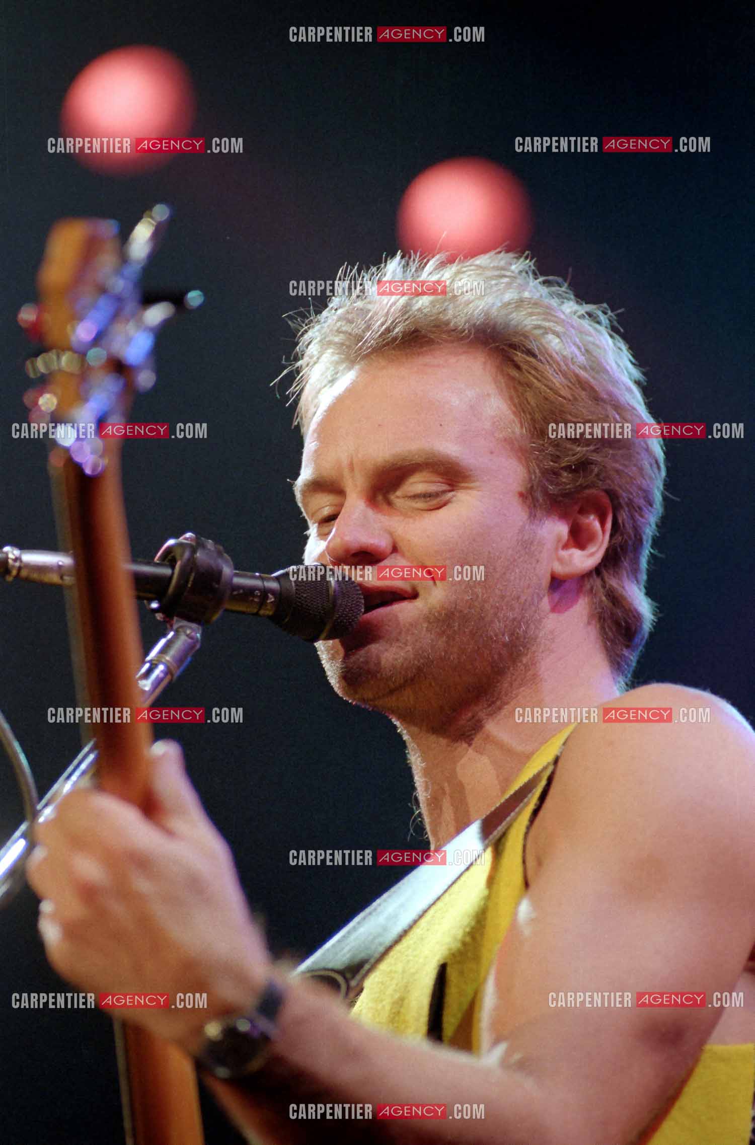 Le chanteur Sting en concert au Zénith de Paris.