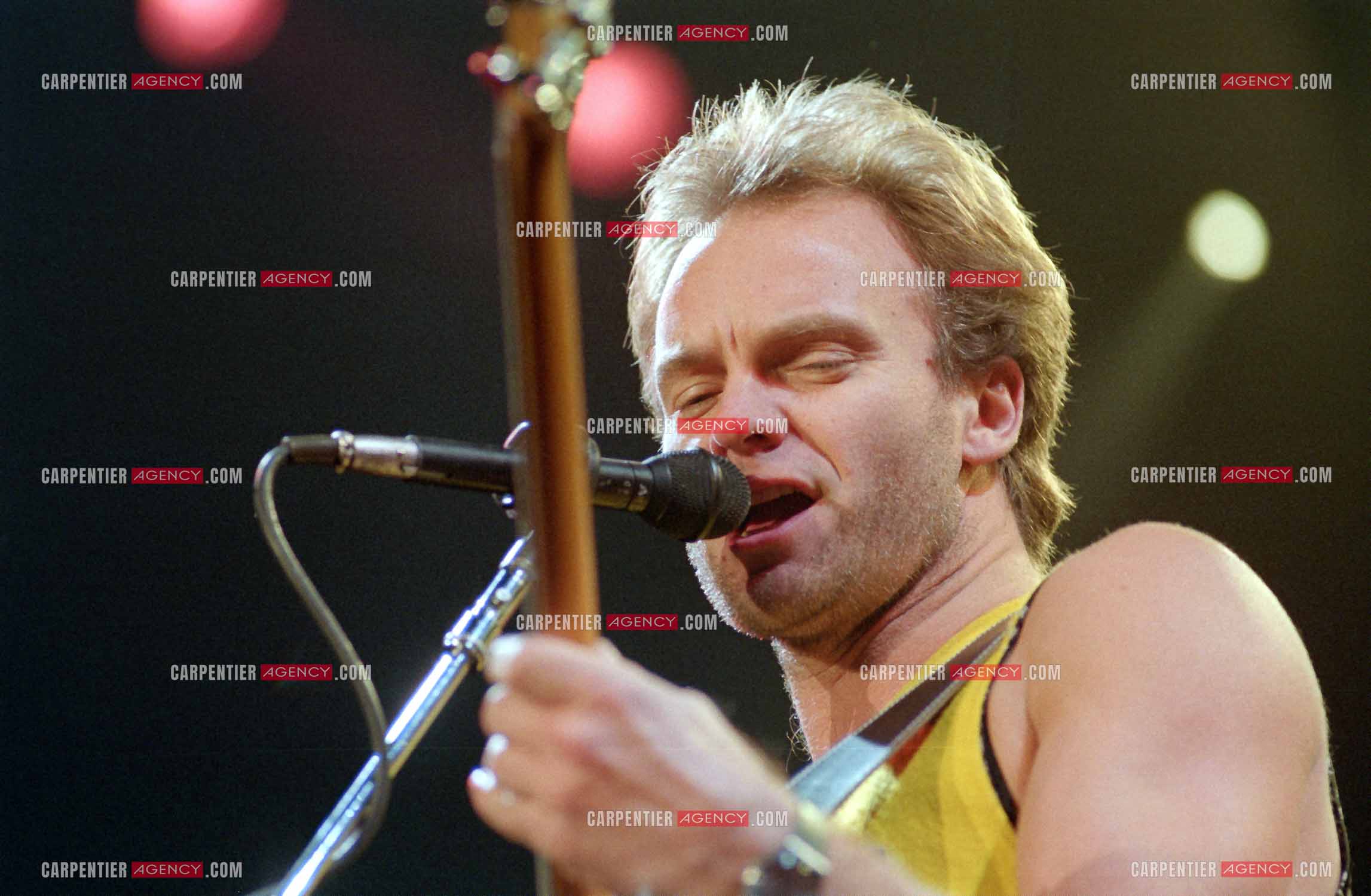 Le chanteur Sting en concert au Zénith de Paris.