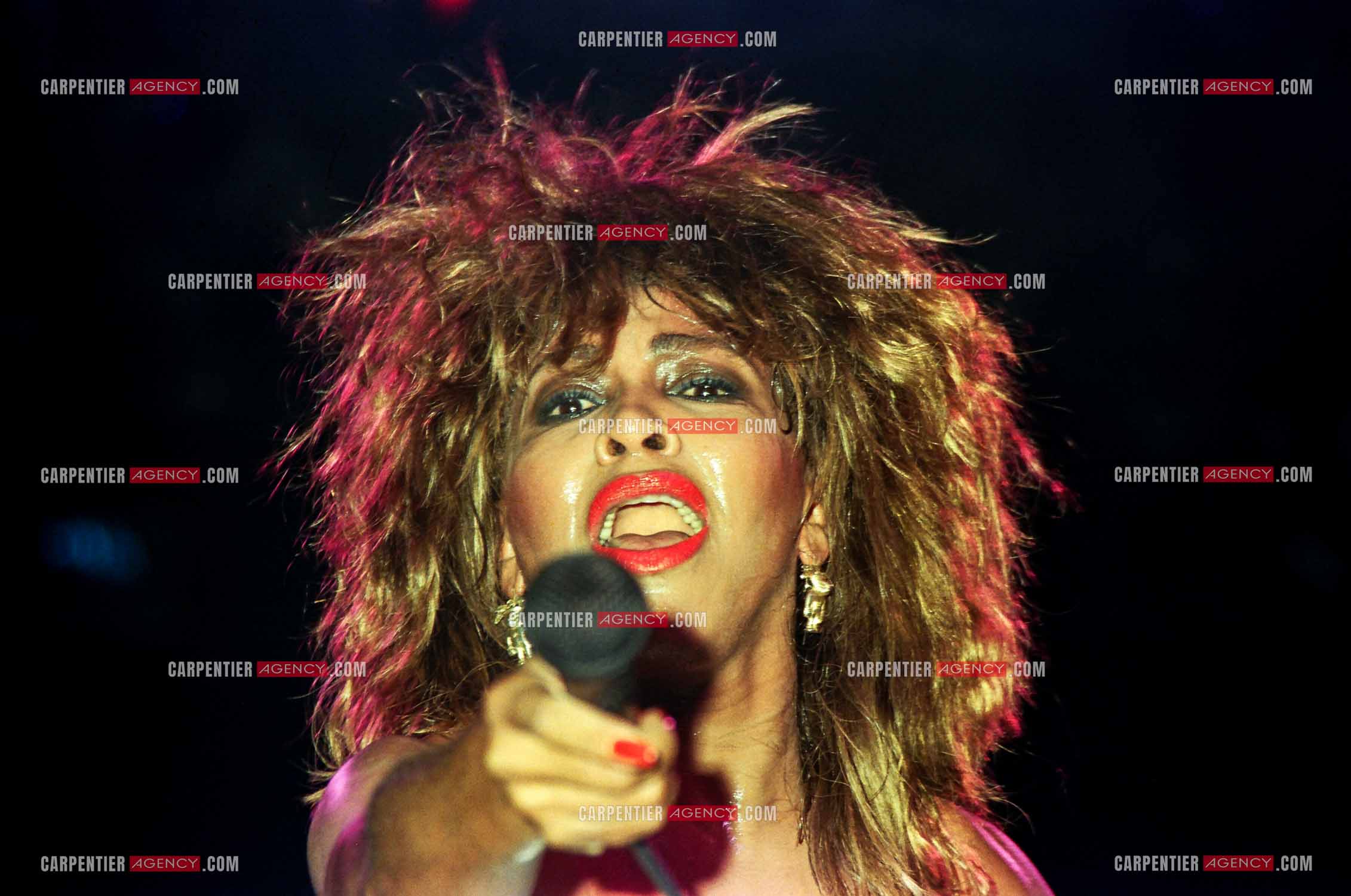 La chanteuse américaine Tina Turner en concert au zénith de Paris en 1984.    ( Exclusif )