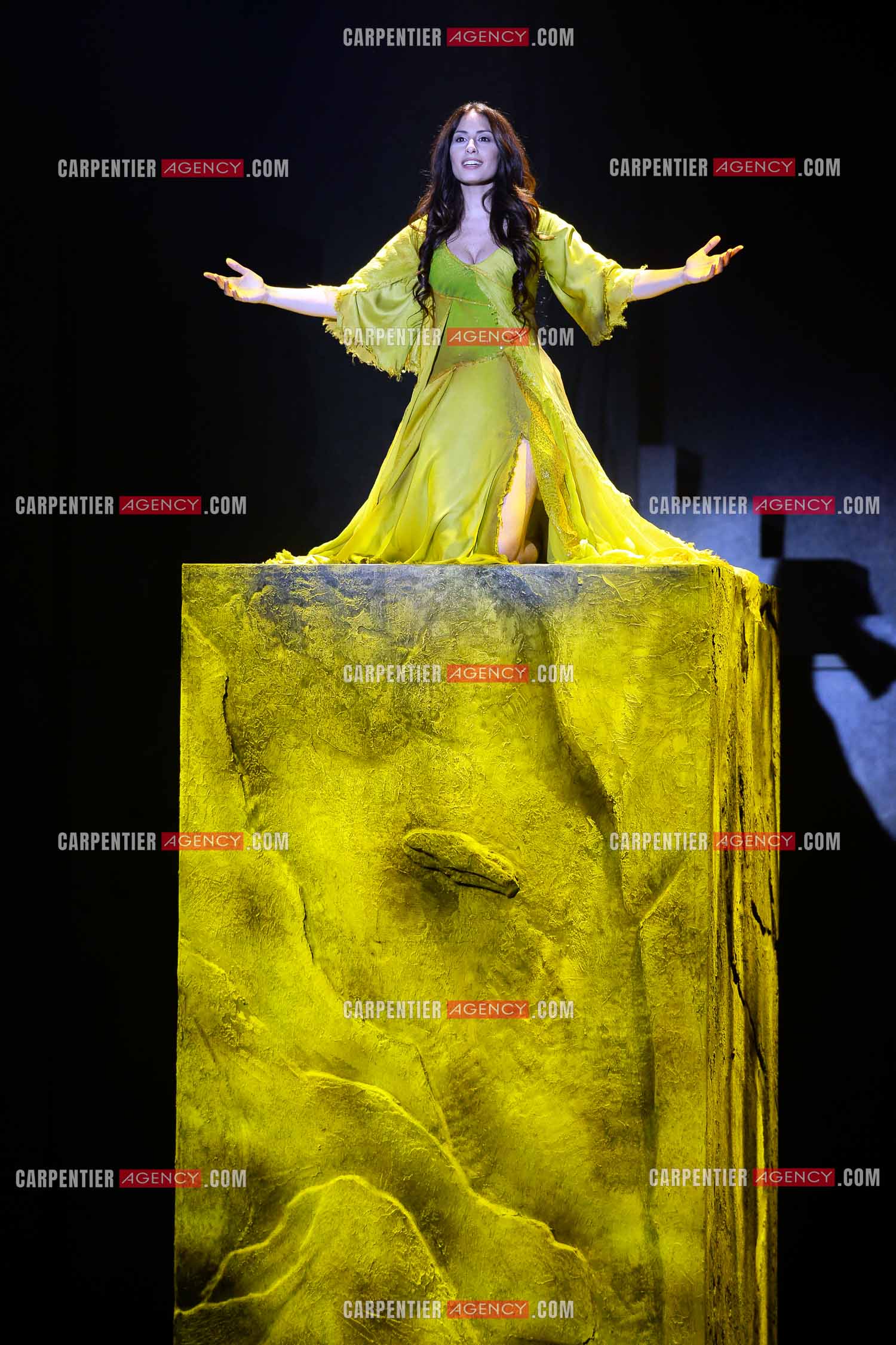 25 èm anniversaire de la comédie musicale Notre Dame de Paris.           Nouvelle  version depuis 2016. Dans le rôle d'Esmeralda, la chanteuse libanaise Hiba Tawaji.    ( Exclusif ).