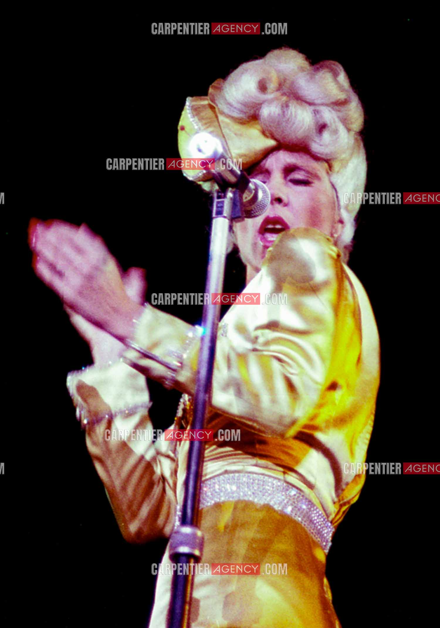 La chanteuse Sylvie Vartan en concert à Vienne en 1977.