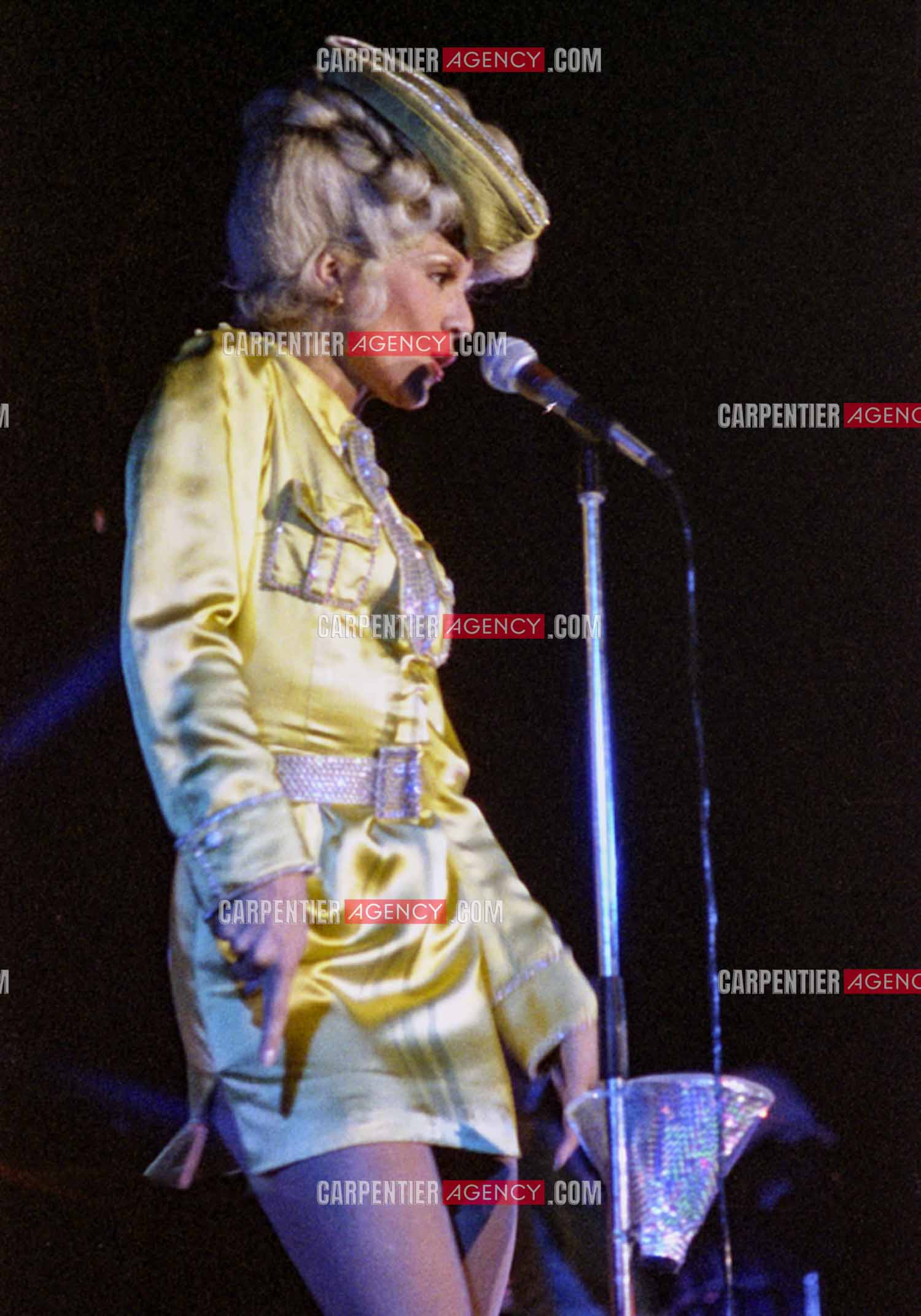 La chanteuse Sylvie Vartan en concert à Vienne en 1977.