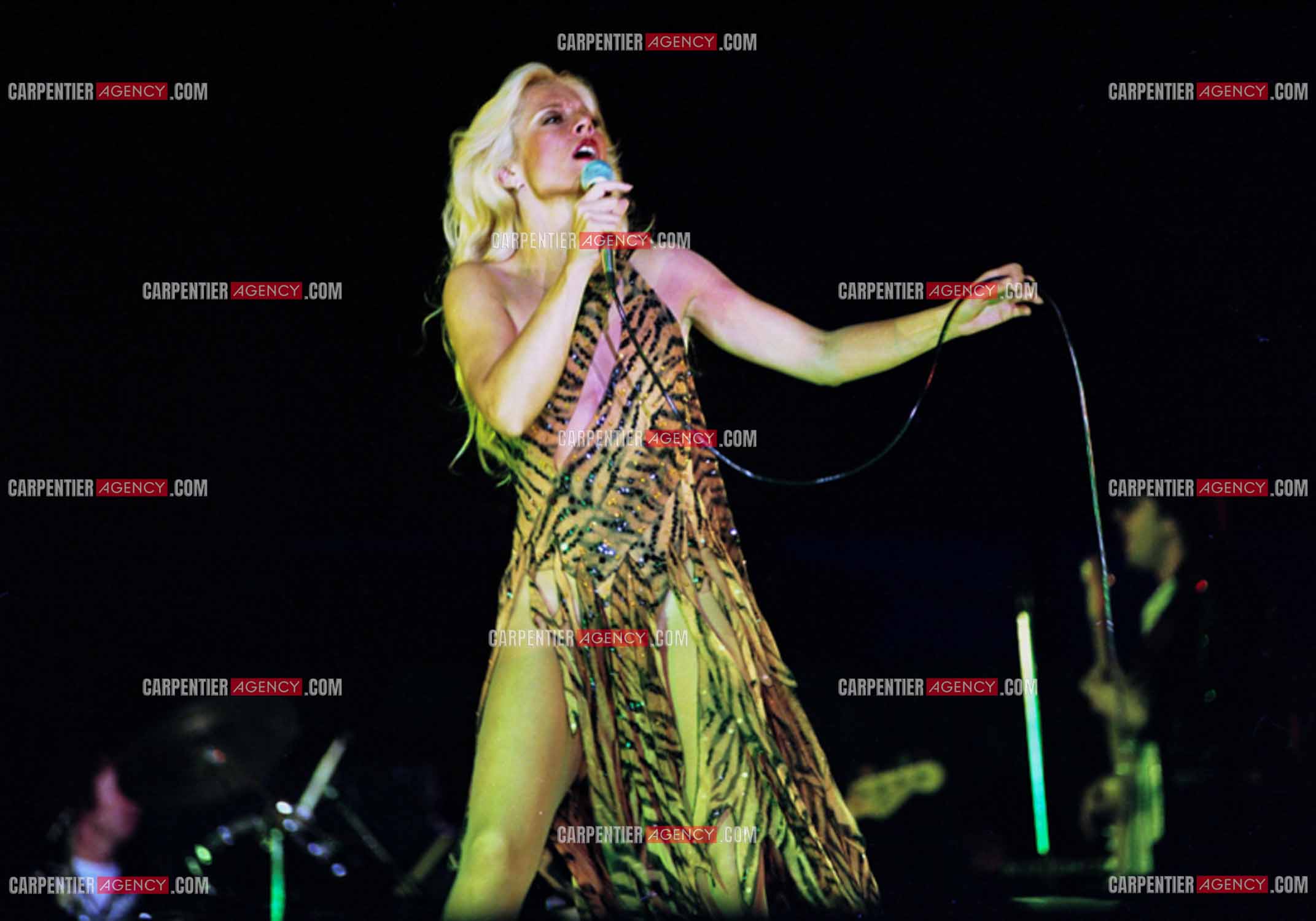 La chanteuse Sylvie Vartan en concert à Vienne en 1977.