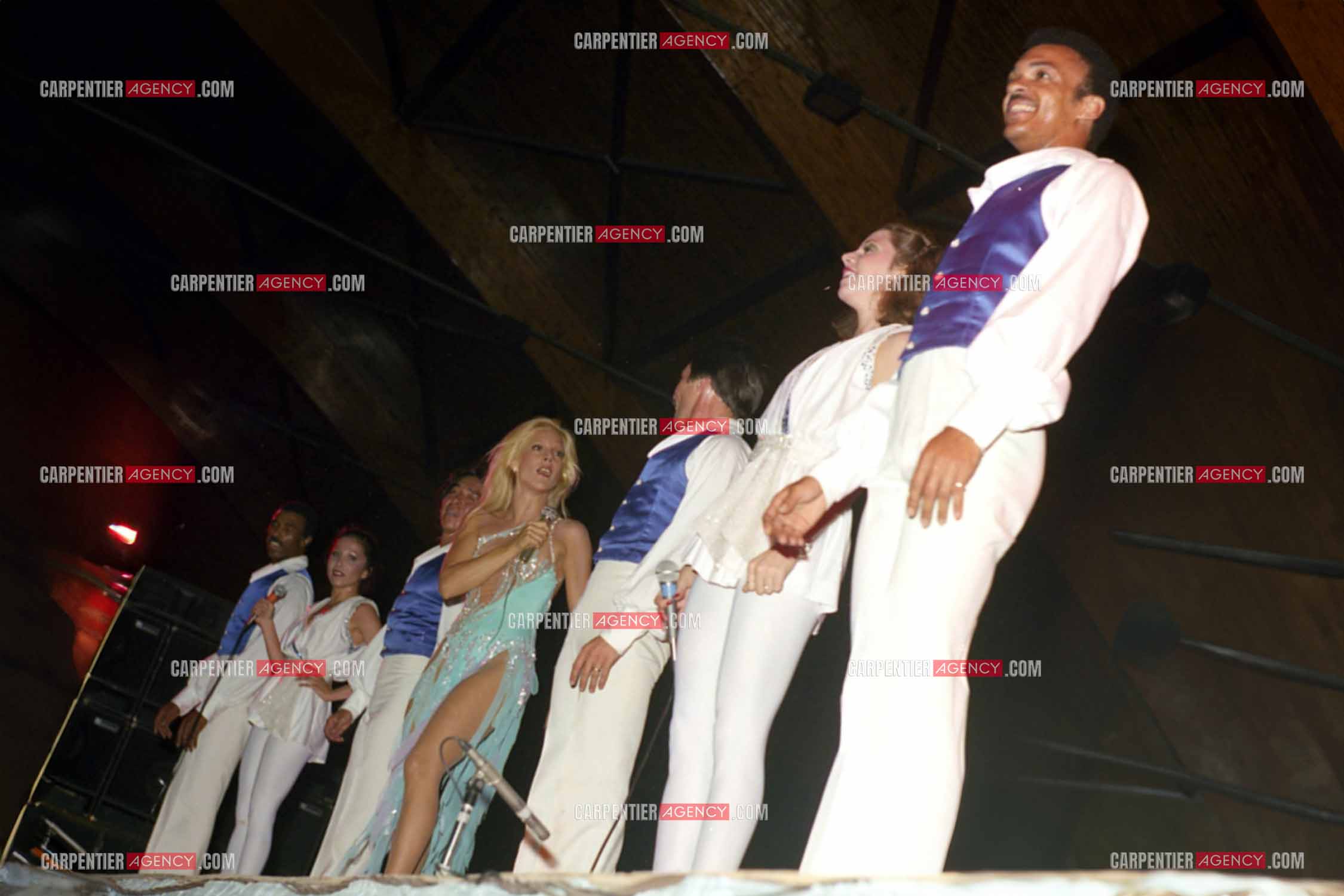 La chanteuse Sylvie Vartan en concert à Vienne en 1977.