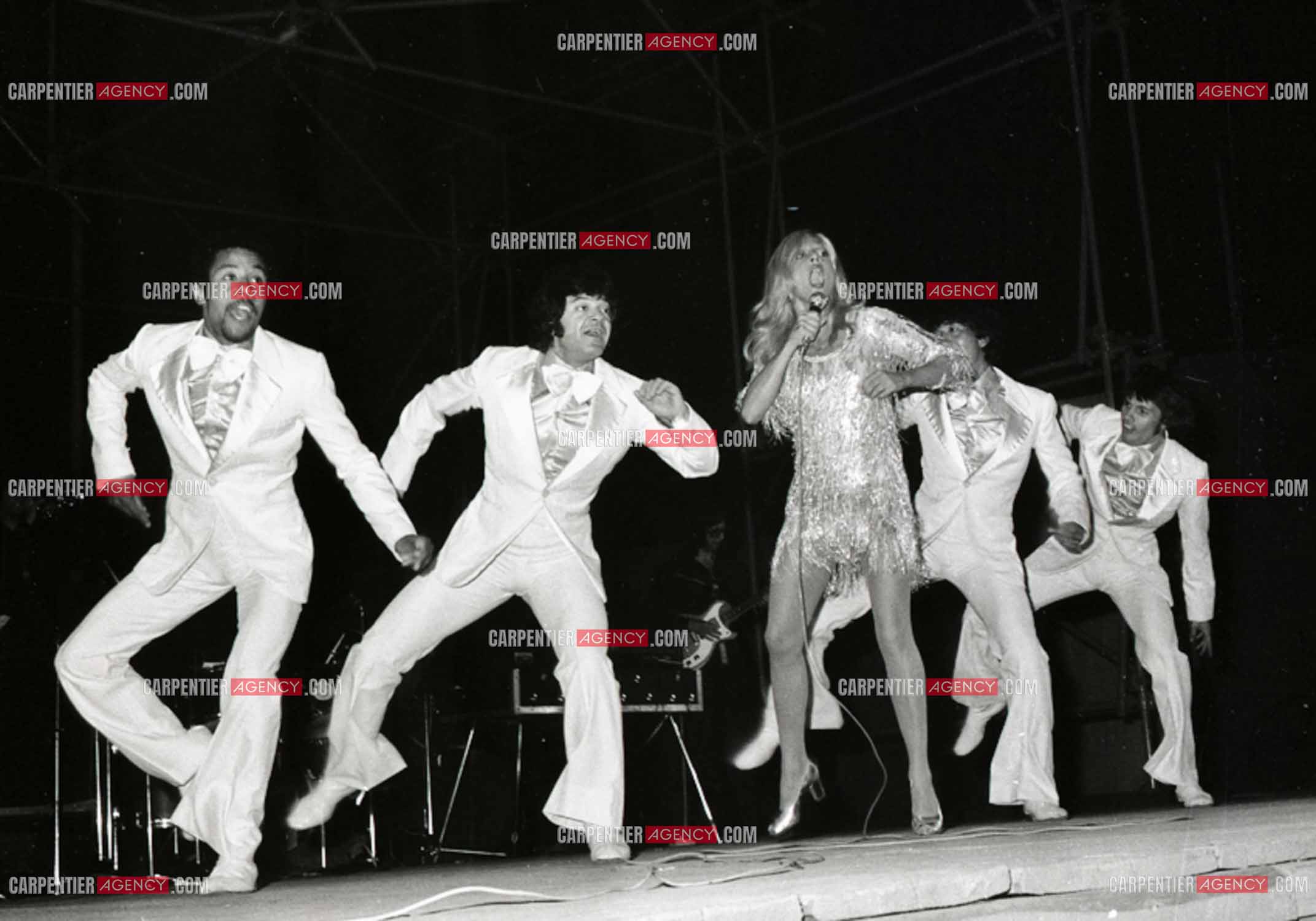 La chanteuse Sylvie Vartan en concert à Grenoble en 1977.