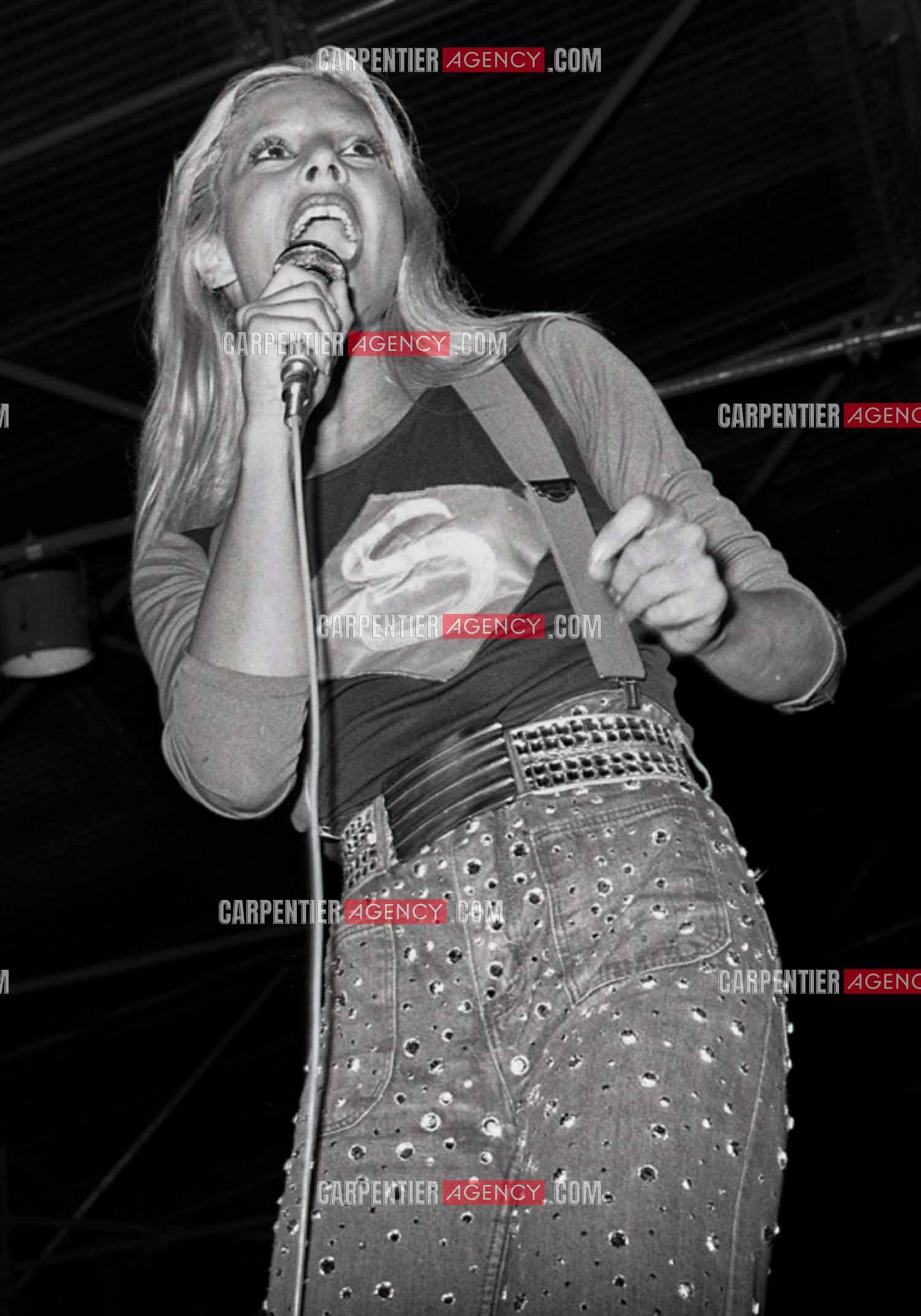 La chanteuse Sylvie Vartan en concert à Grenoble en 1977.