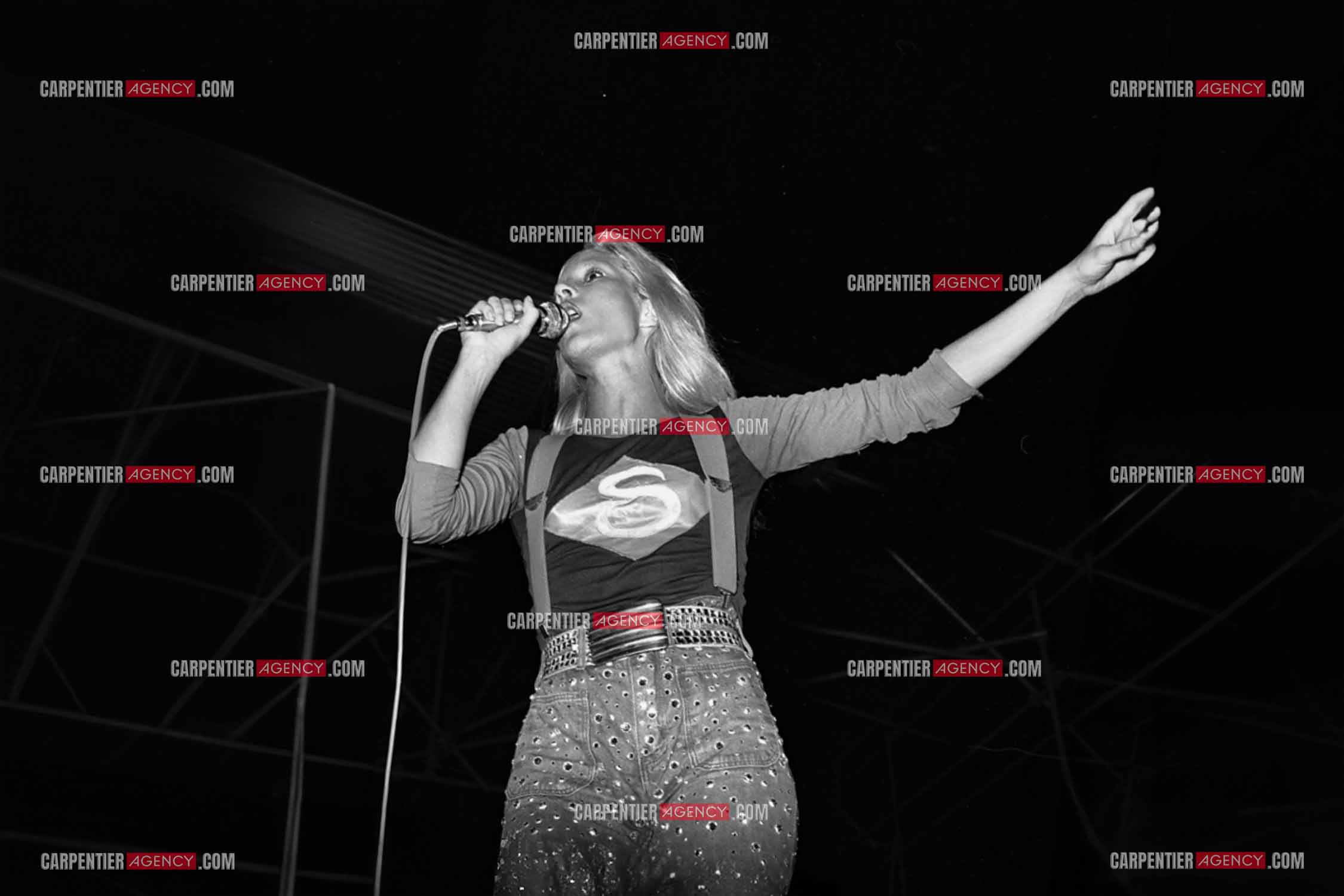 La chanteuse Sylvie Vartan en concert à Grenoble en 1977.