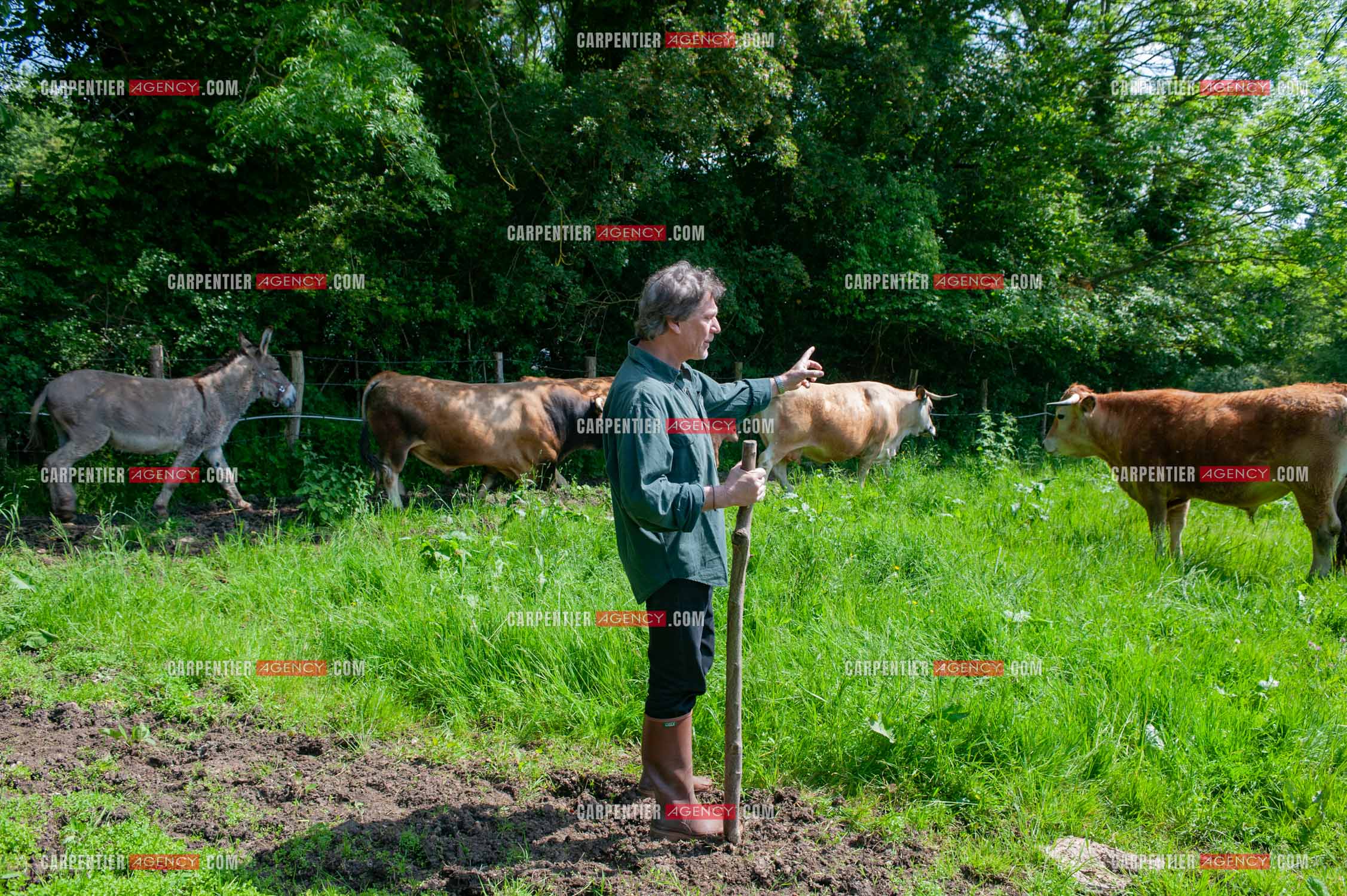 Le chanteur Gérard  Lenorman dans sa résidence secondaire avec ses animaux.   ( Exclusif )