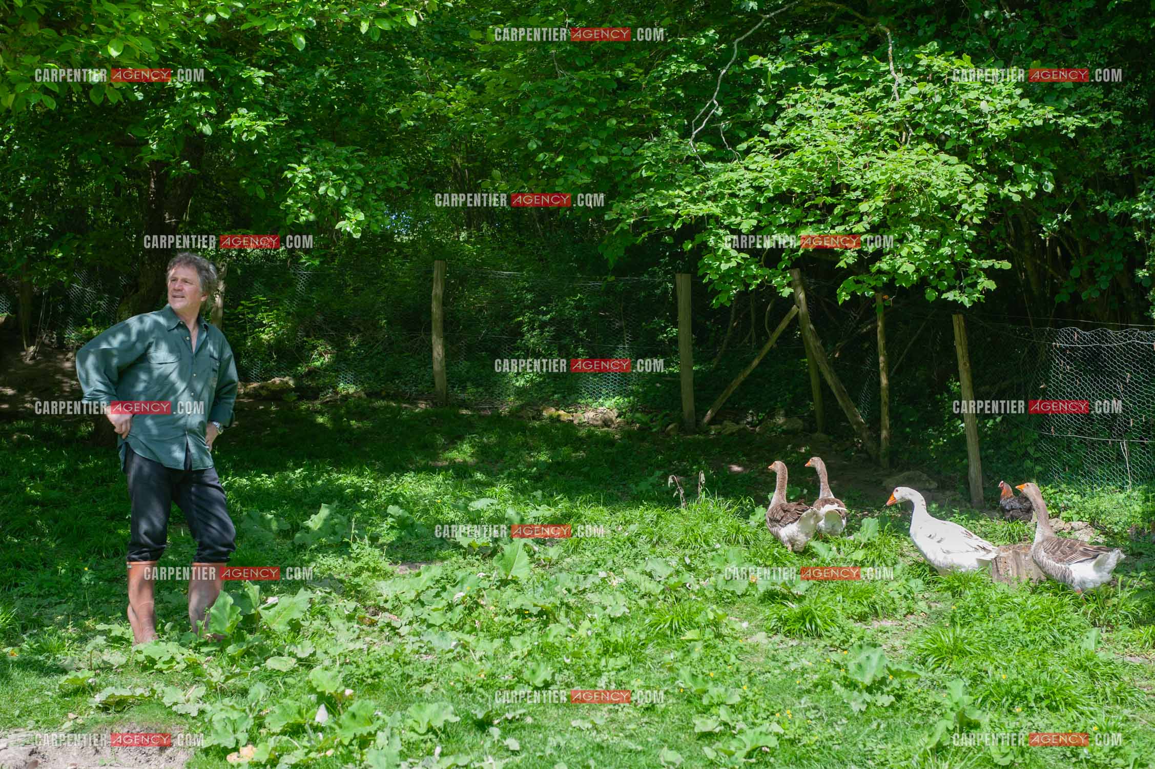 Le chanteur Gérard  Lenorman dans sa résidence secondaire avec ses animaux.   ( Exclusif )