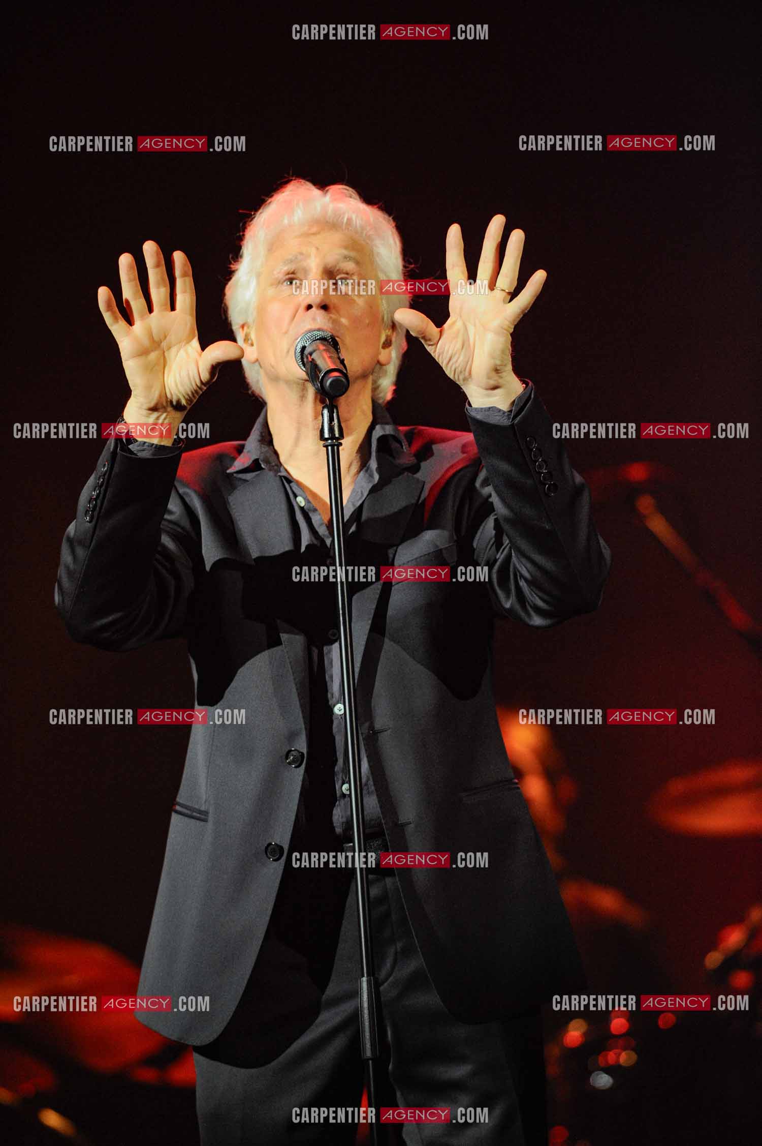 Le chanteur Gérard Lenorman en concert au Grand Rex à Paris.  ( Exclusif )