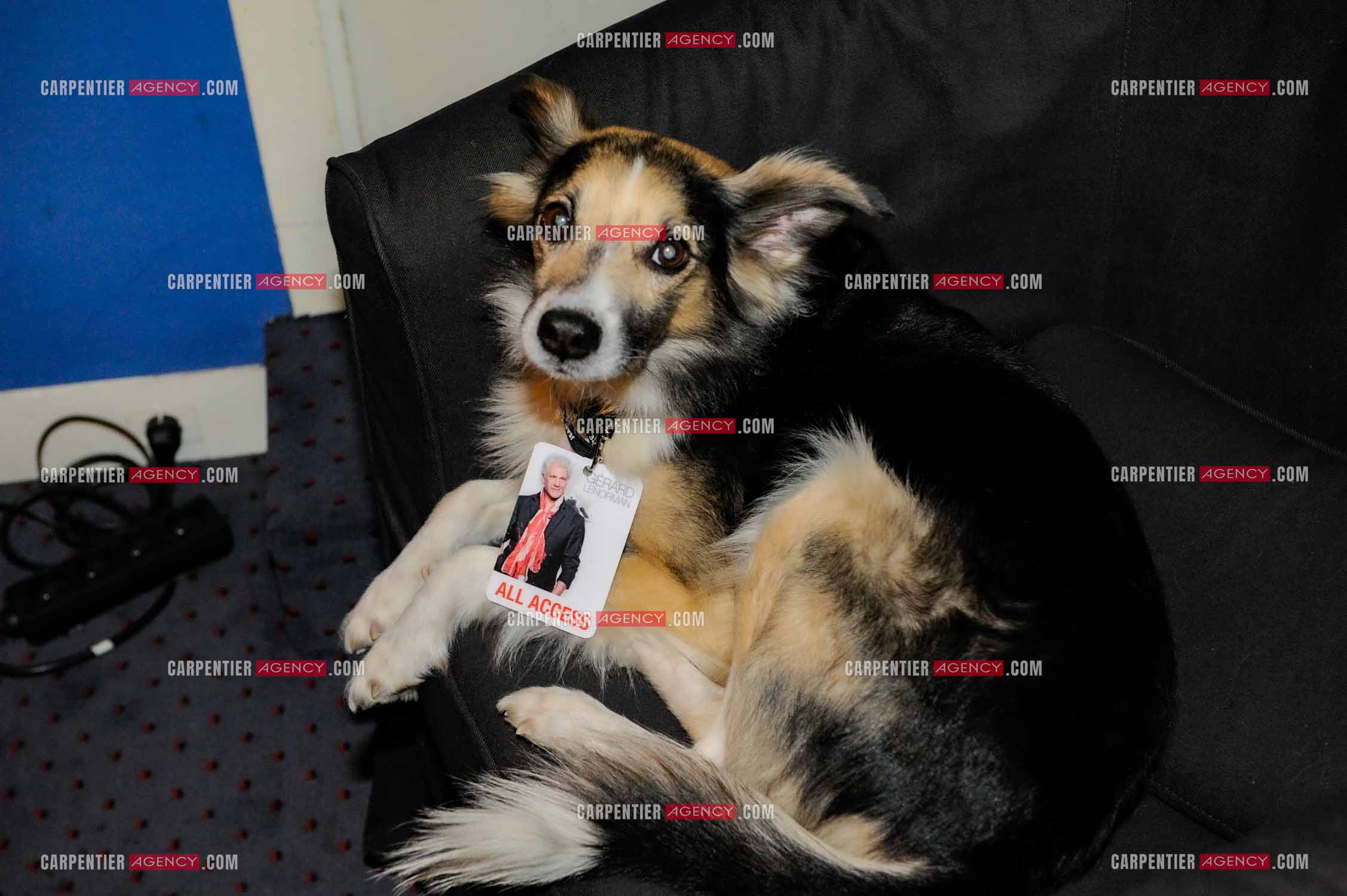 Le chanteur Gérard Lenorman en concert au Grand Rex à Paris.