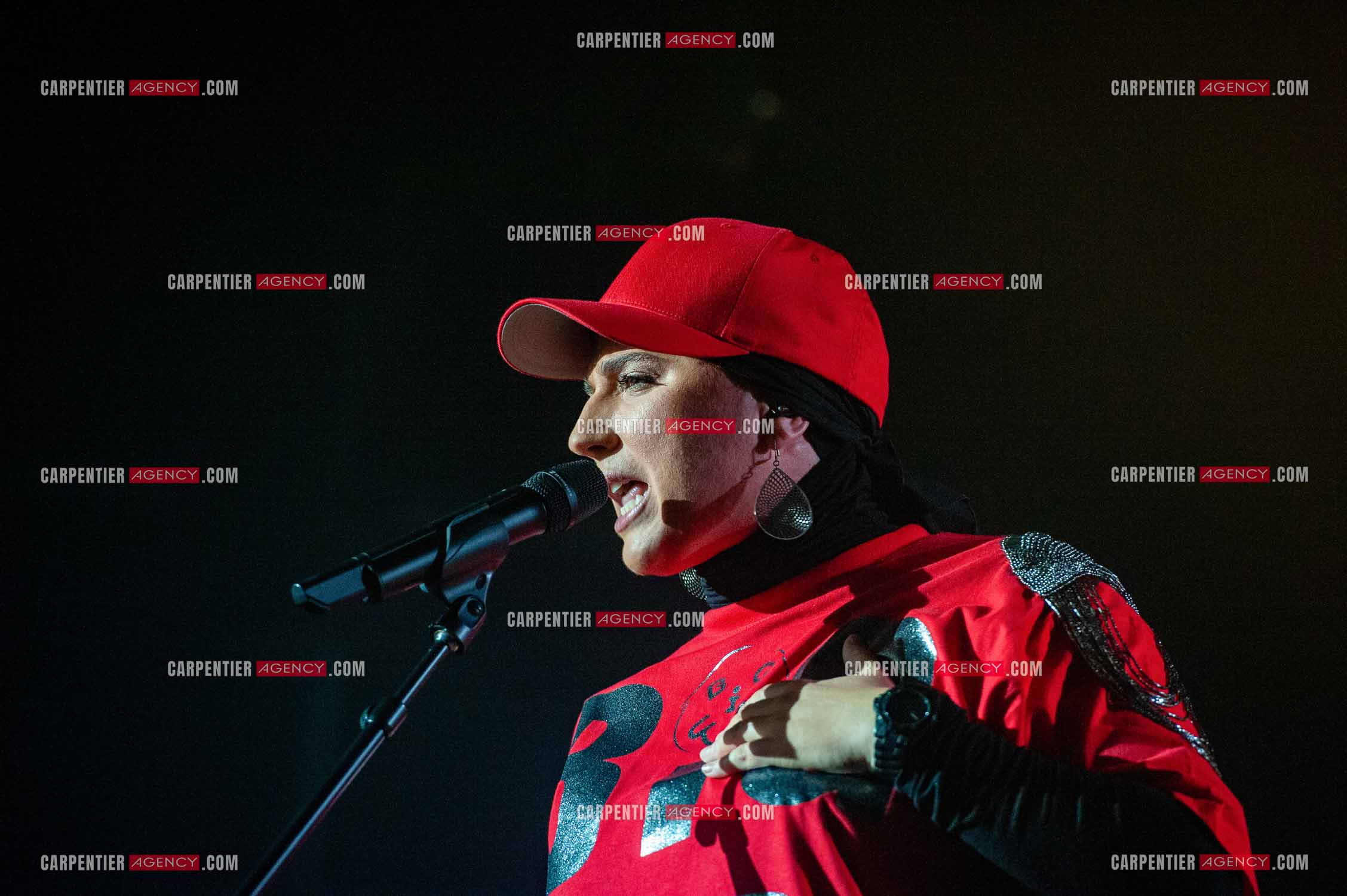 La chanteuse Diam's en concert au Zénith de Paris en 2010.    ( Exclusif )