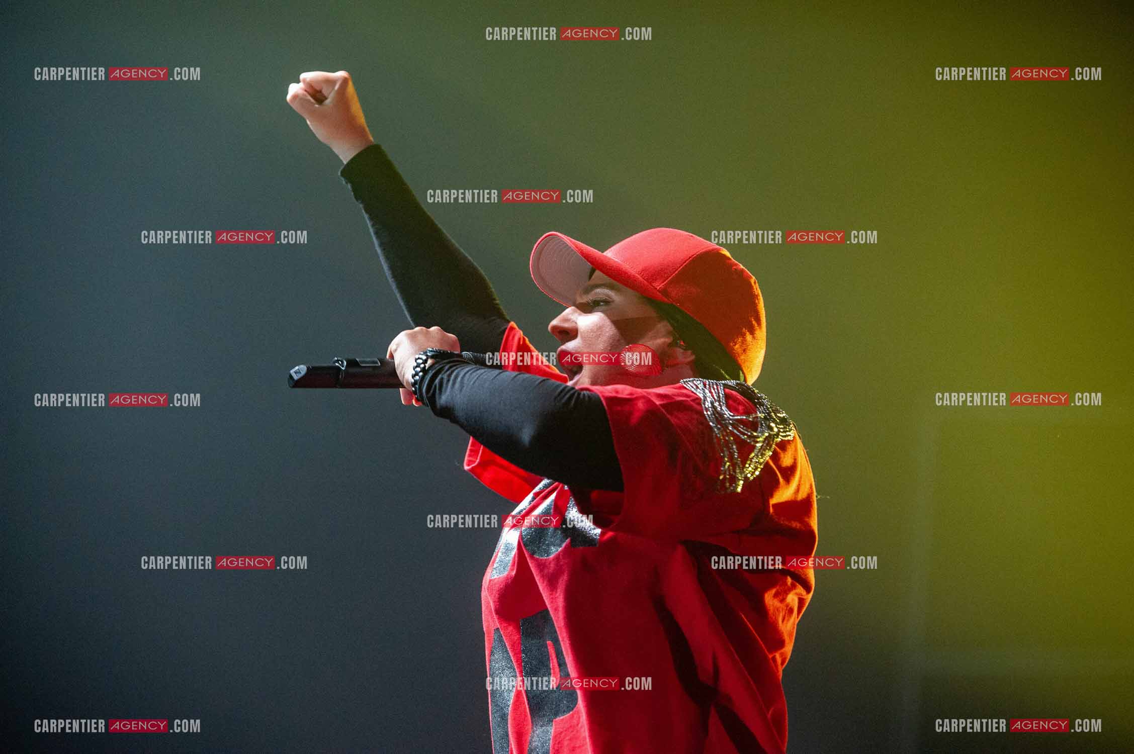 La chanteuse Diam's en concert au Zénith de Paris en 2010.    ( Exclusif )