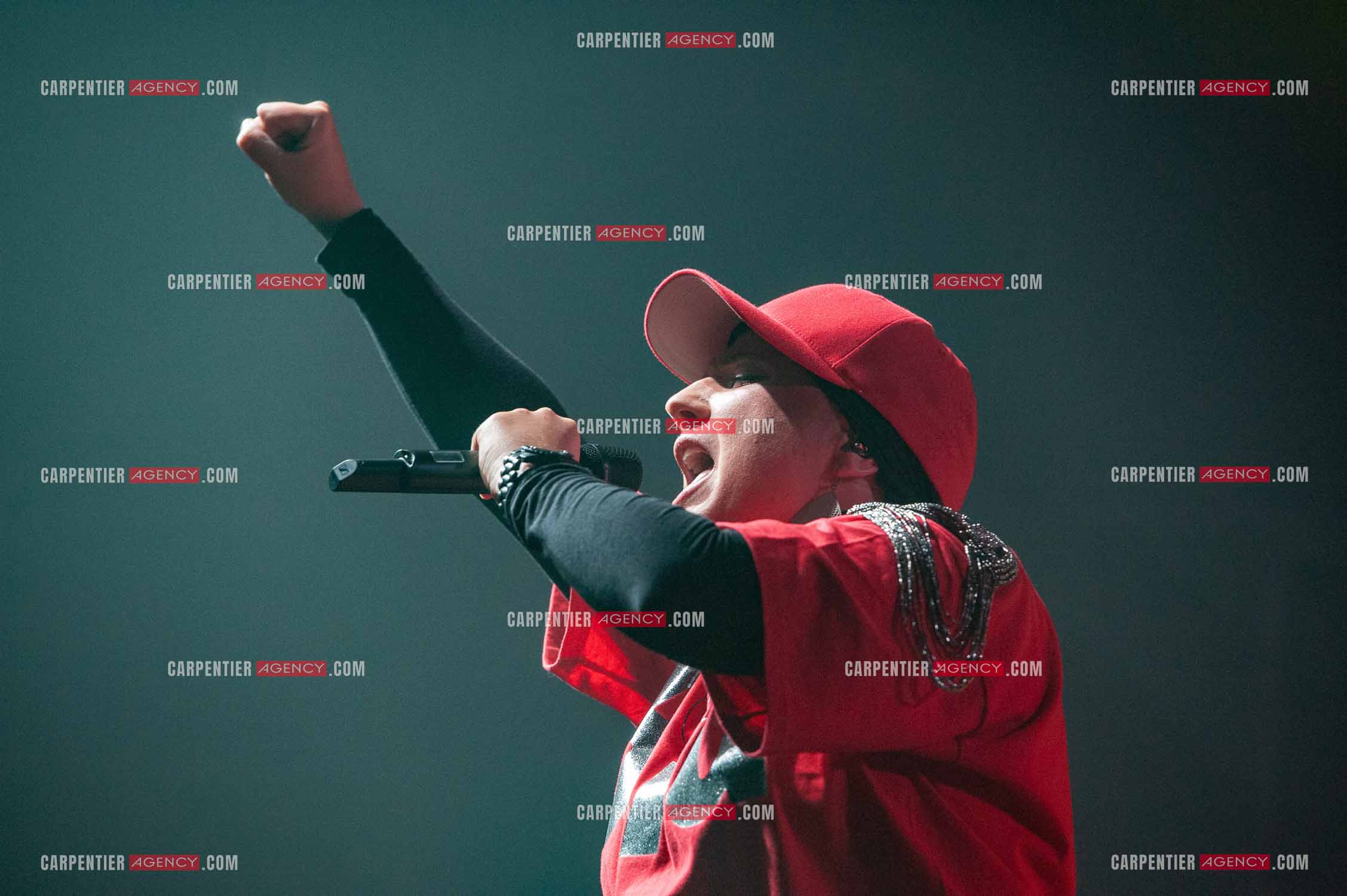 La chanteuse Diam's en concert au Zénith de Paris en 2010.    ( Exclusif )