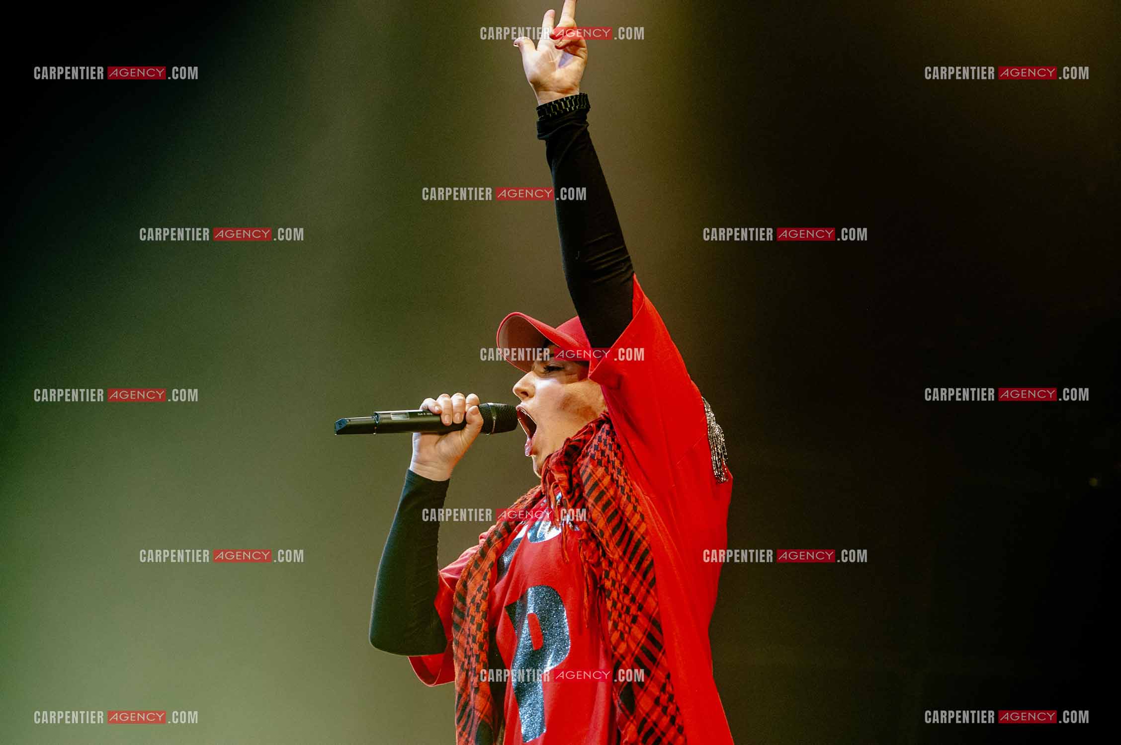 La chanteuse Diam's en concert au Zénith de Paris en 2010.    ( Exclusif )