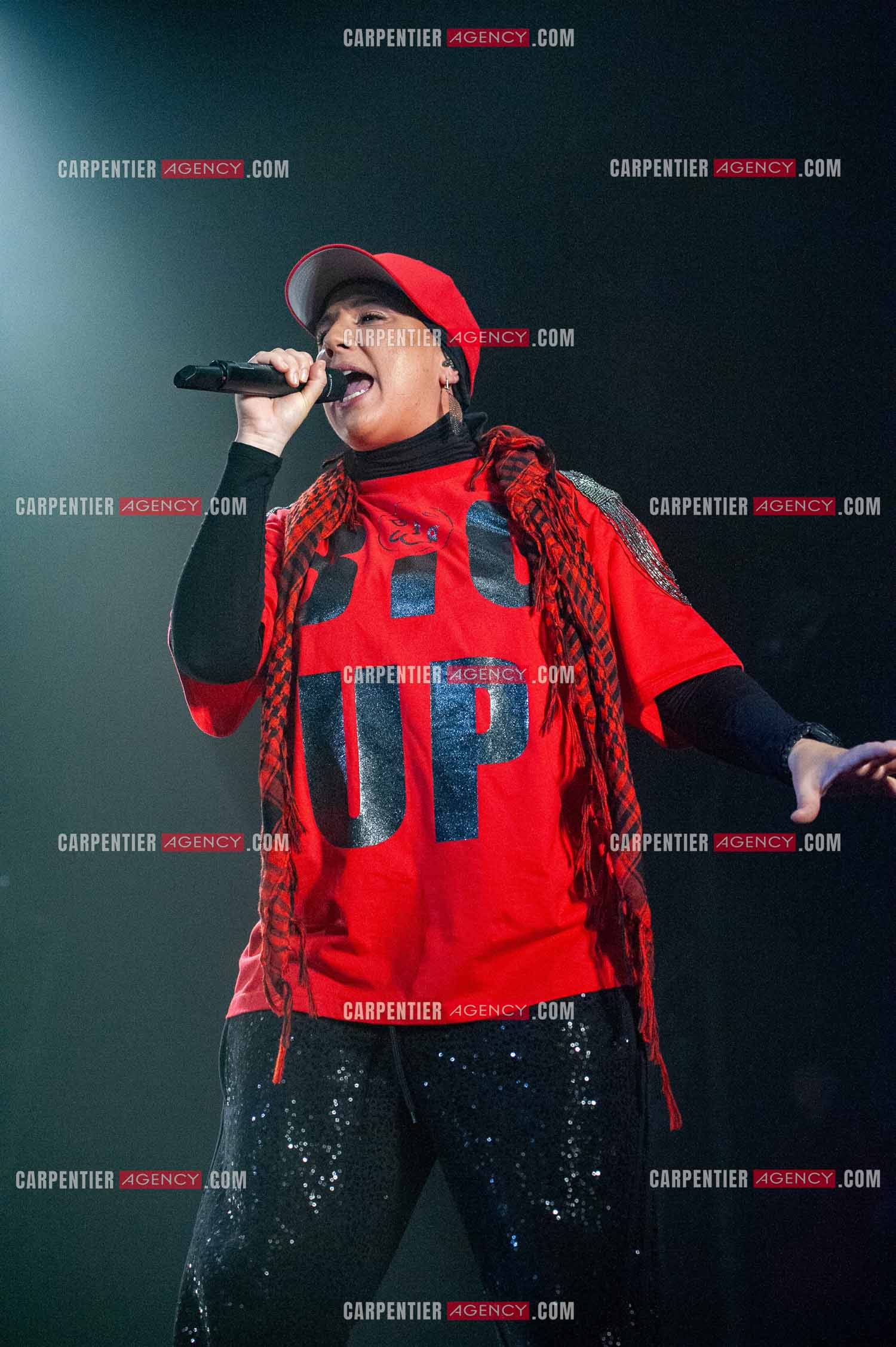 La chanteuse Diam's en concert au Zénith de Paris en 2010.    ( Exclusif )