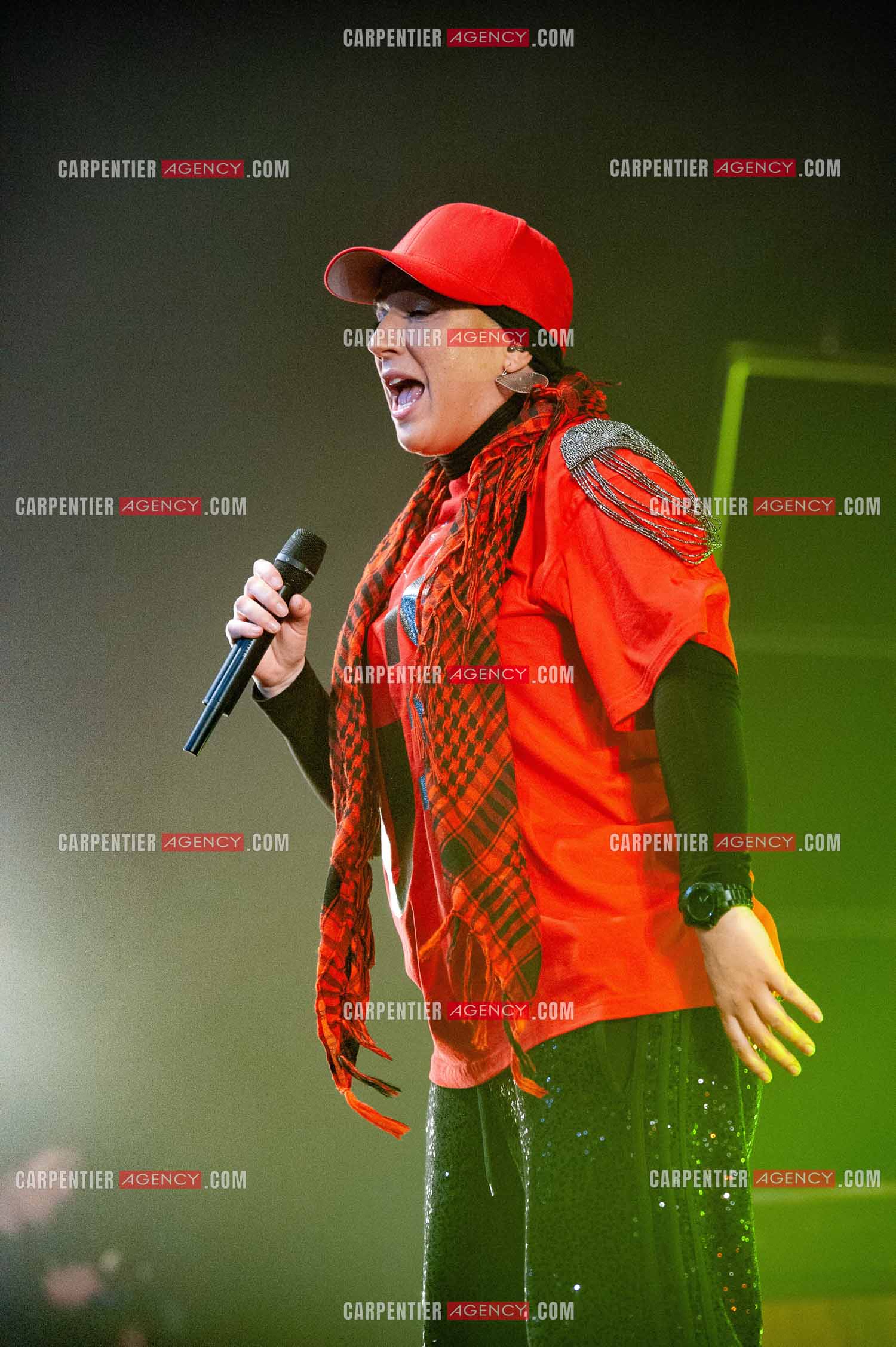 La chanteuse Diam's en concert au Zénith de Paris en 2010.    ( Exclusif )