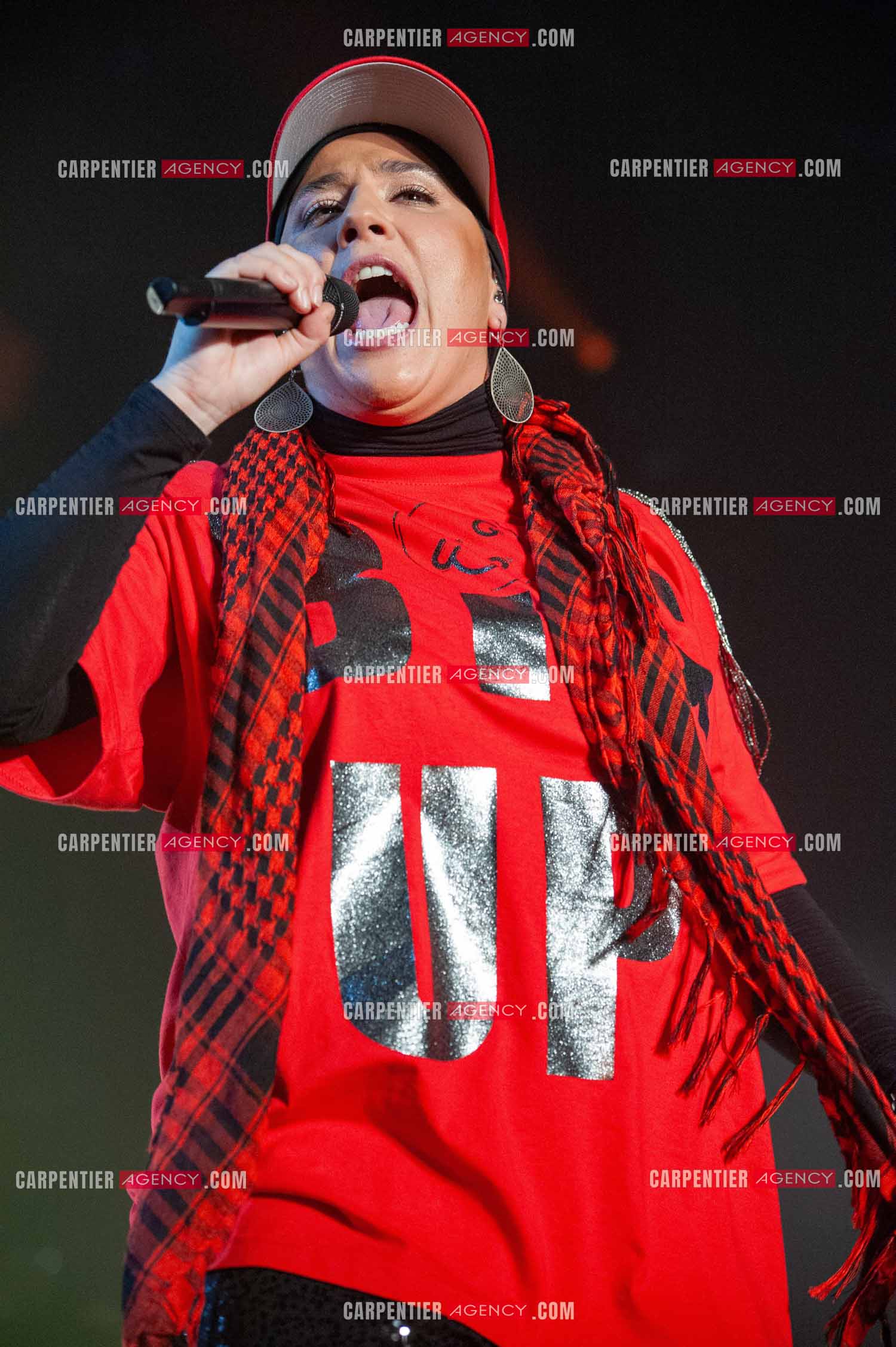 La chanteuse Diam's en concert au Zénith de Paris en 2010.    ( Exclusif )