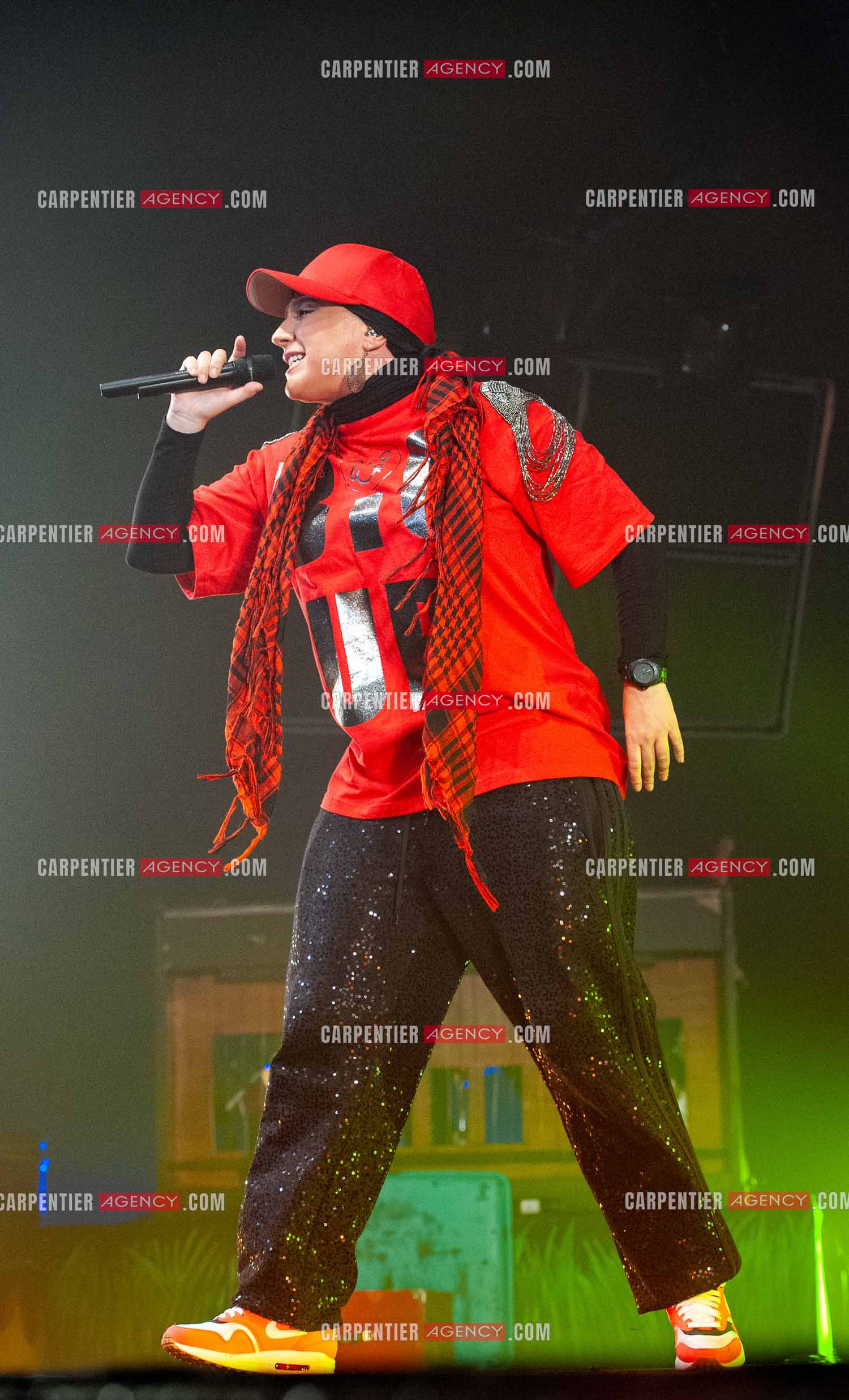 La chanteuse Diam's en concert au Zénith de Paris en 2010.    ( Exclusif )