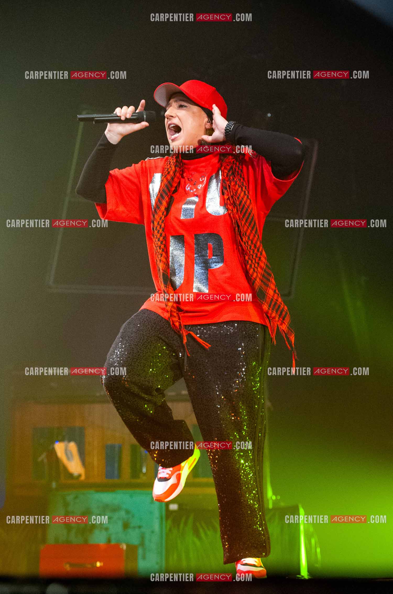 La chanteuse Diam's en concert au Zénith de Paris en 2010.    ( Exclusif )