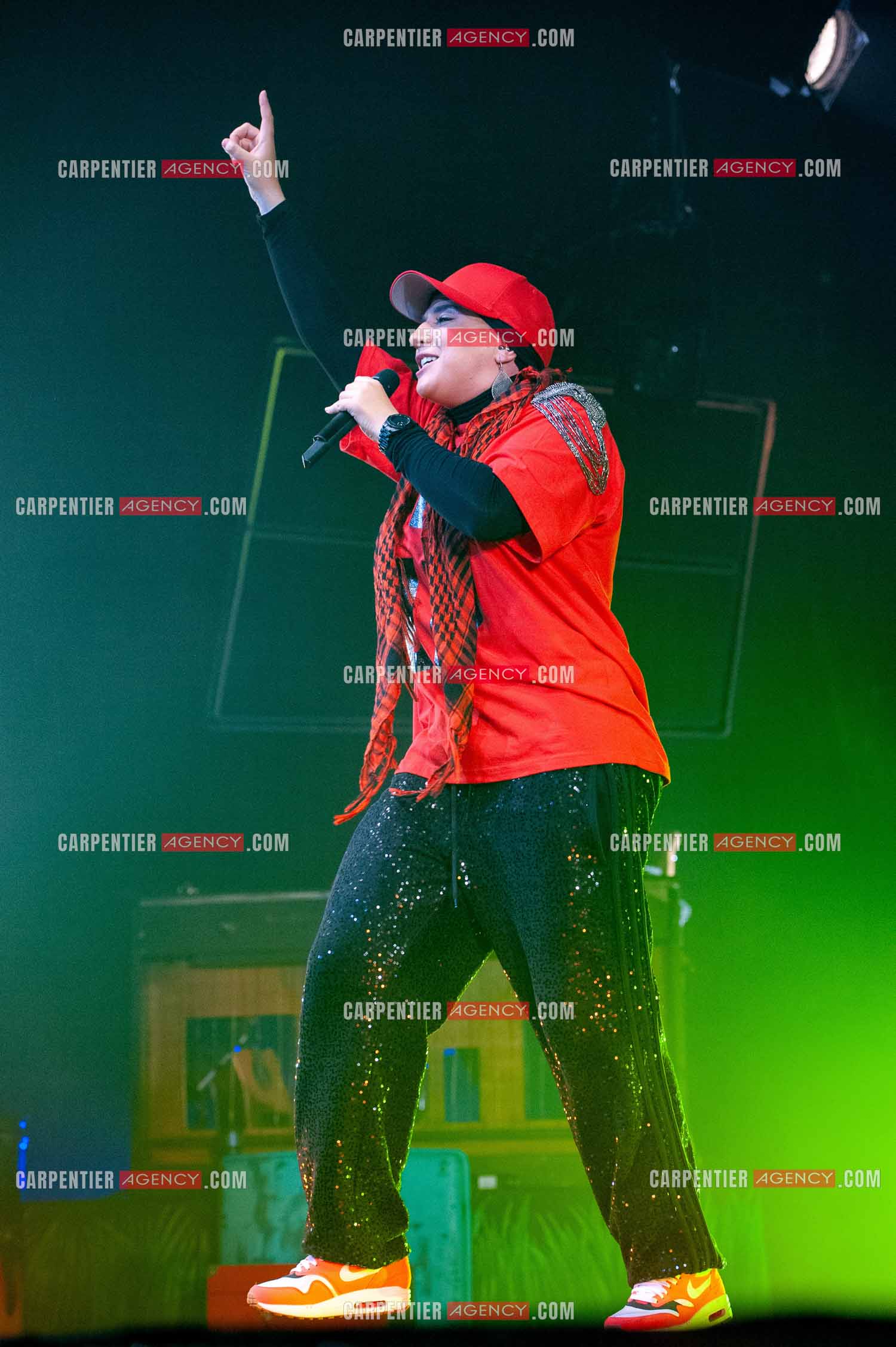 La chanteuse Diam's en concert au Zénith de Paris en 2010.    ( Exclusif )